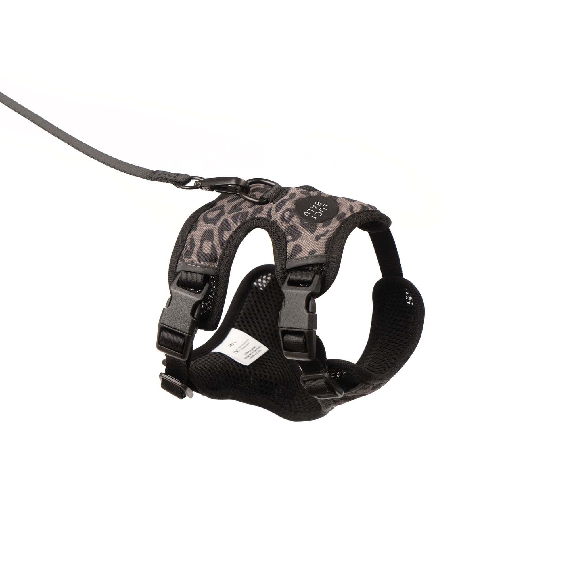 LucyBalu Katzen-Halsband EXPLORER Katzengeschirr mit Leine