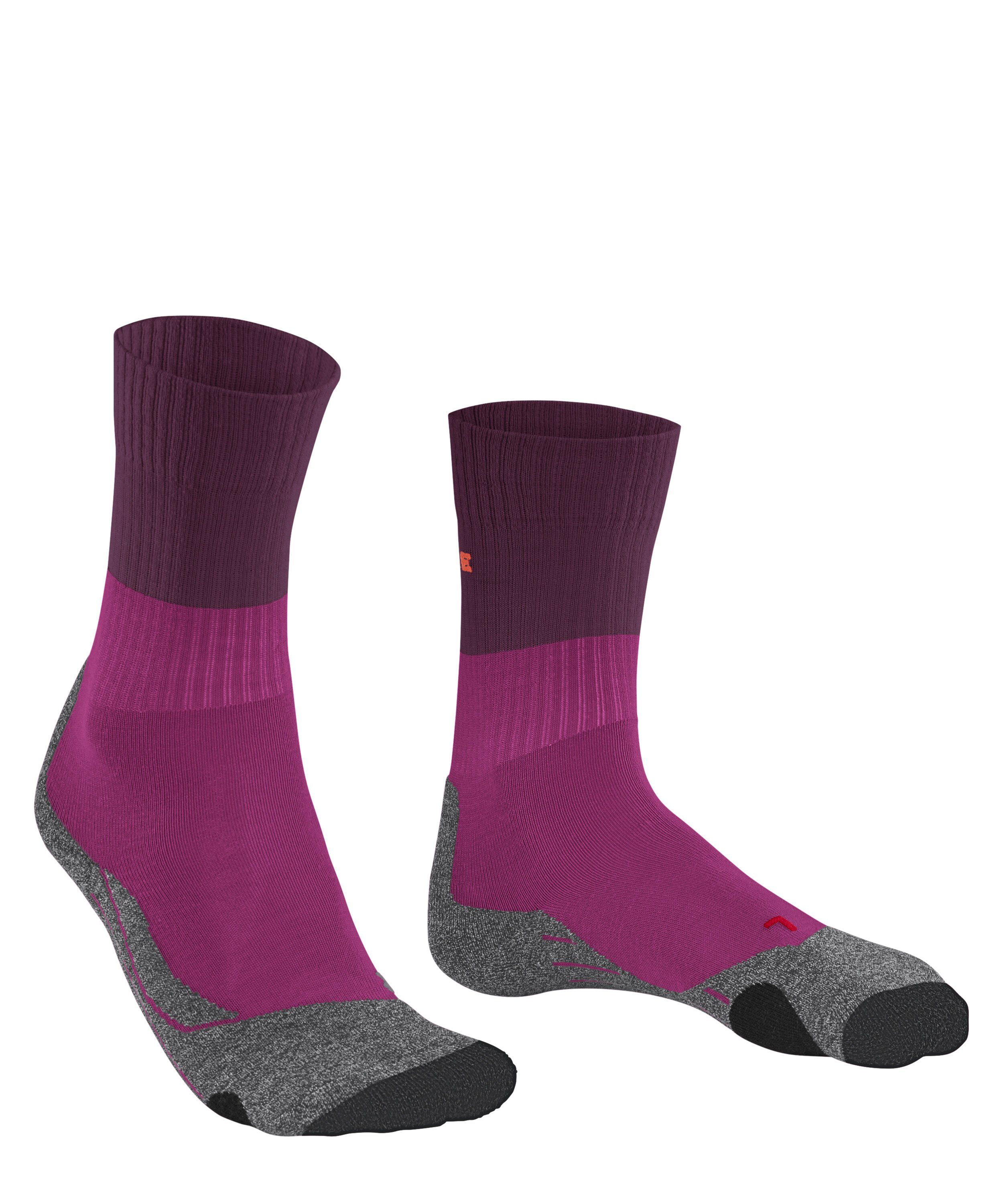 FALKE Wandersocken TK2 Explore (1-Paar) Hoher günstig online kaufen