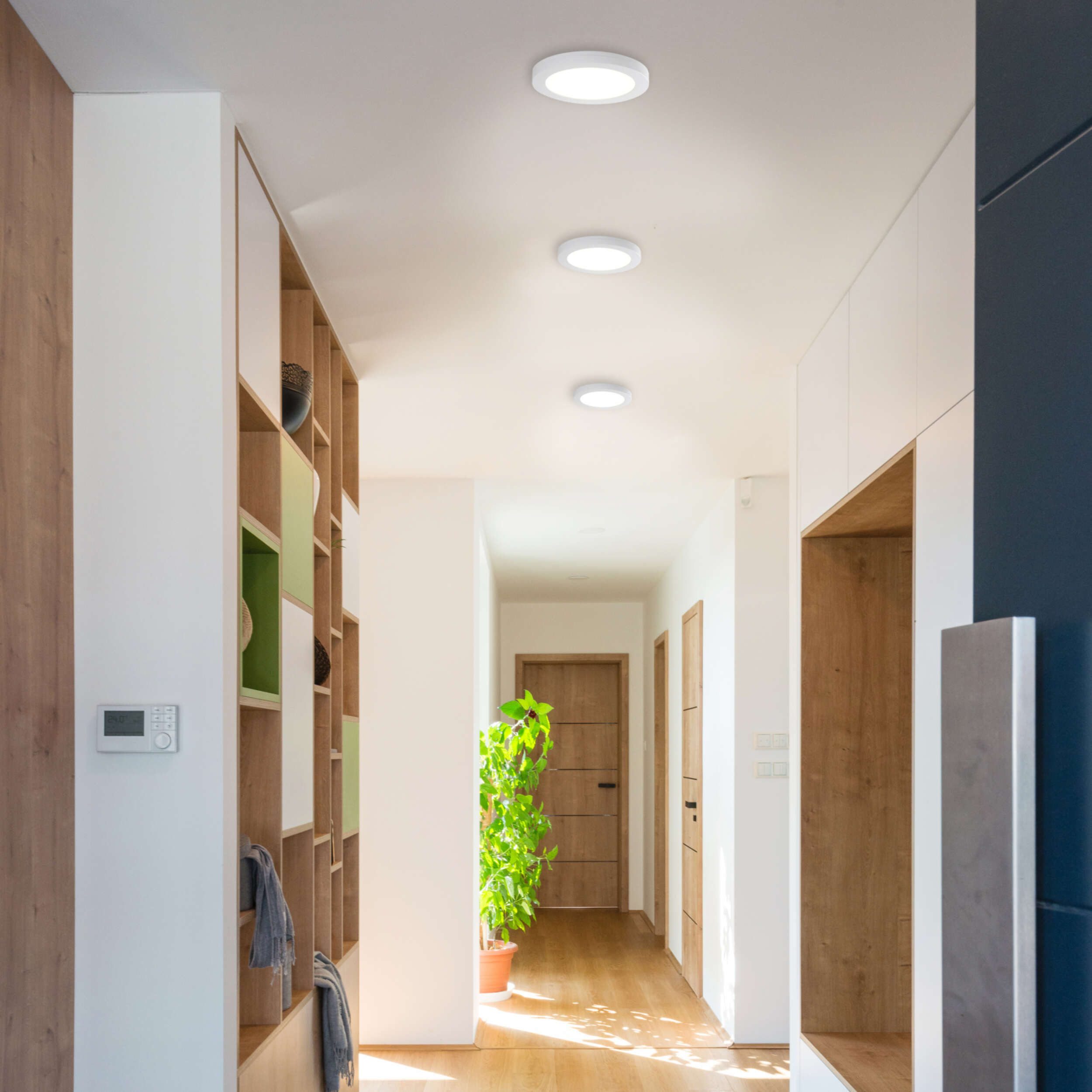 näve LED Deckenleuchte Bonus, LED fest integriert, warmweiß - kaltweiß, rund, D: 17cm, weiß, CCT per Gerätschalter, flexible Installation
