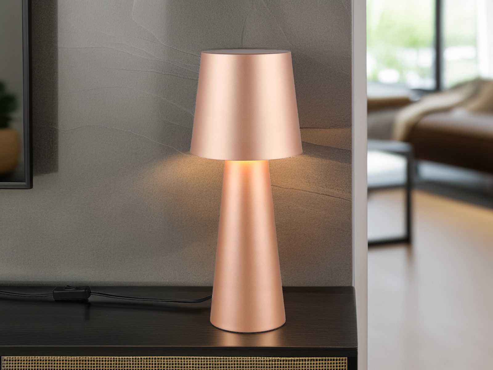 TRIO Leuchten LED Nachttischlampe, Dimmfunktion, LED günstig online kaufen