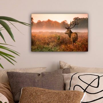OneMillionCanvasses® Leinwandbild Hirsche - Nebel - Herbst, (1 St), Wandbild Leinwandbilder, Aufhängefertig, Wanddeko, 30x20 cm