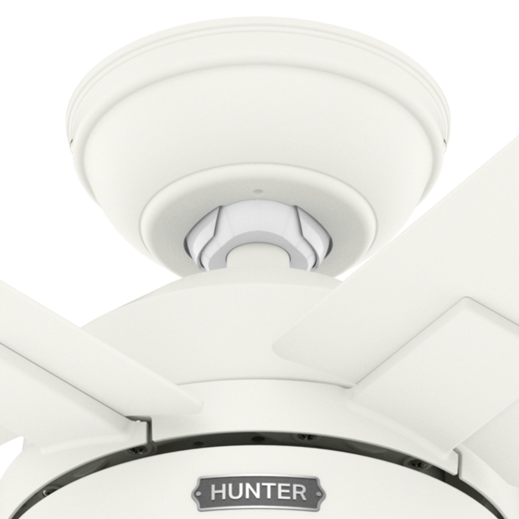 Hunter Deckenventilator Deckenventilator Zeal Weiß mit Licht & Fernbedienung