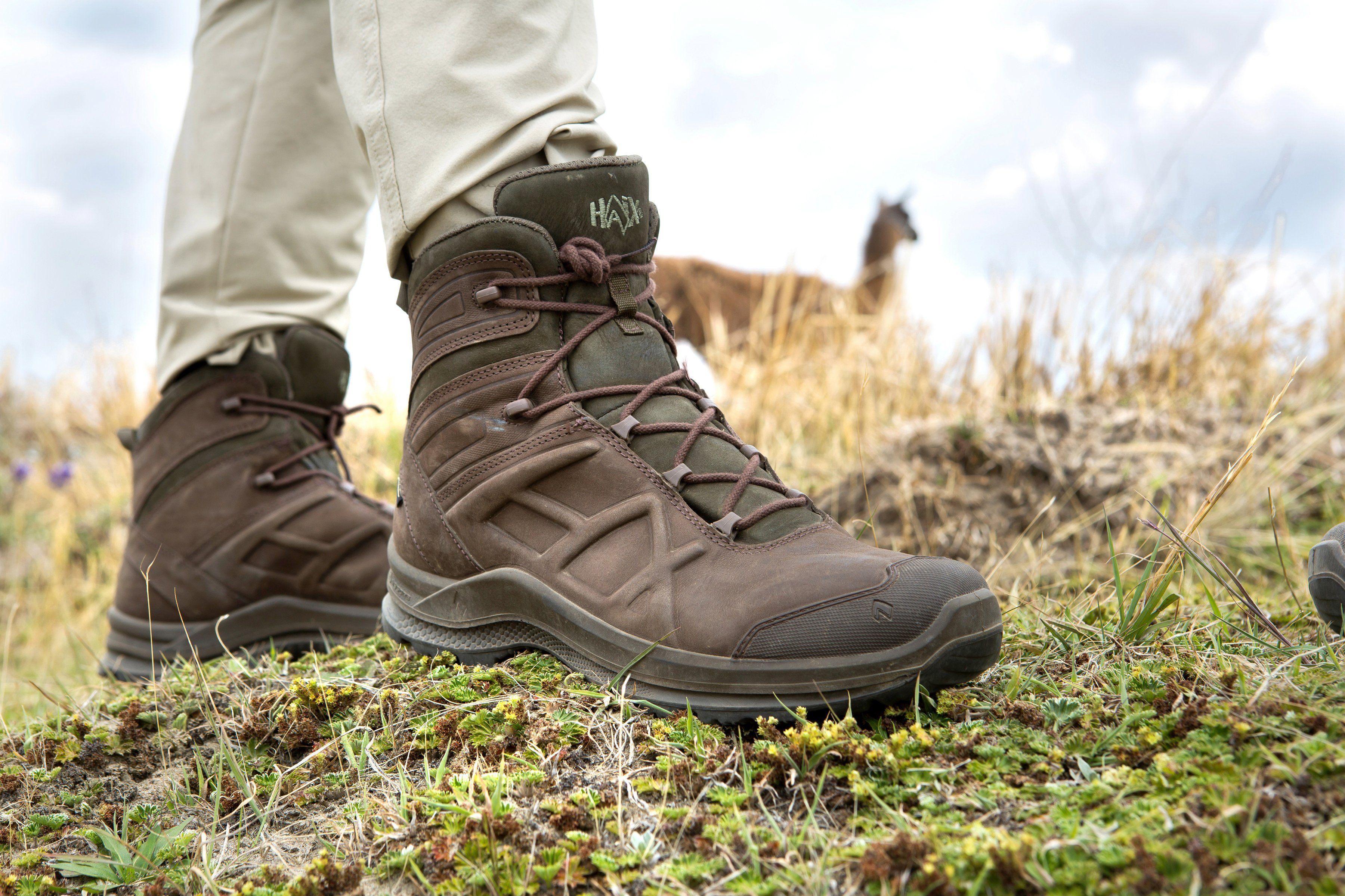 haix BLACK EAGLE Nature GTX mid Outdoorschuh warm gefüttert