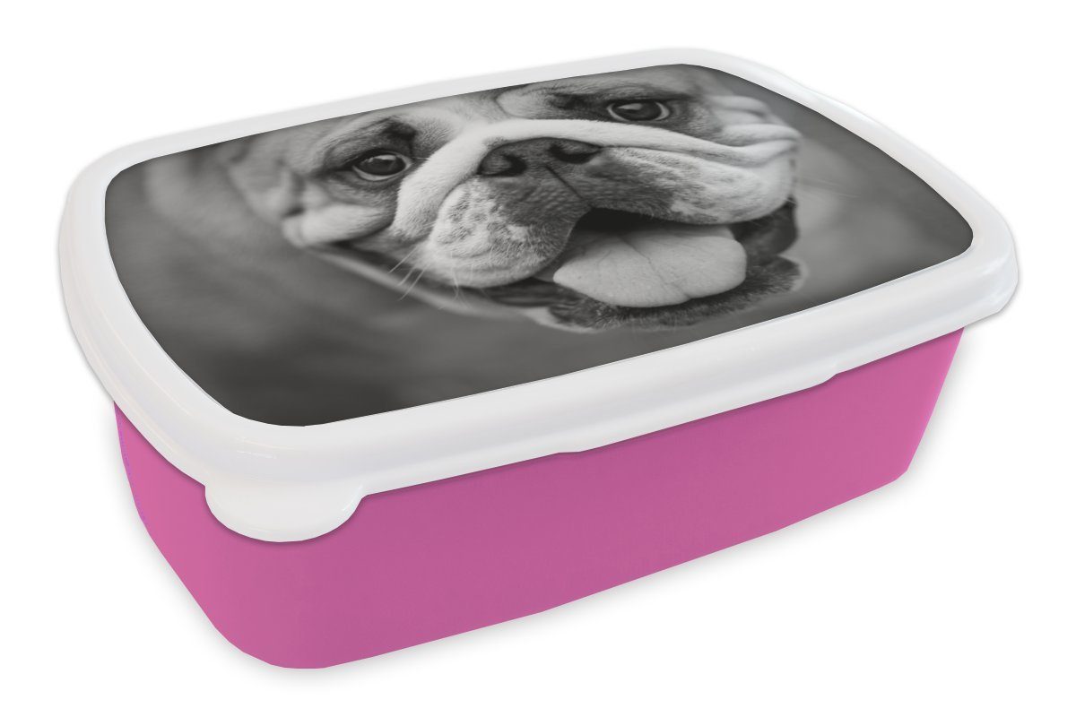 MuchoWow Lunchbox Tierprofil Bulldogge in schwarz und weiß, Kunststoff, (2-tlg), Brotbox für Erwachsene, Brotdose Kinder, Snackbox, Mädchen, Kunststoff rosa