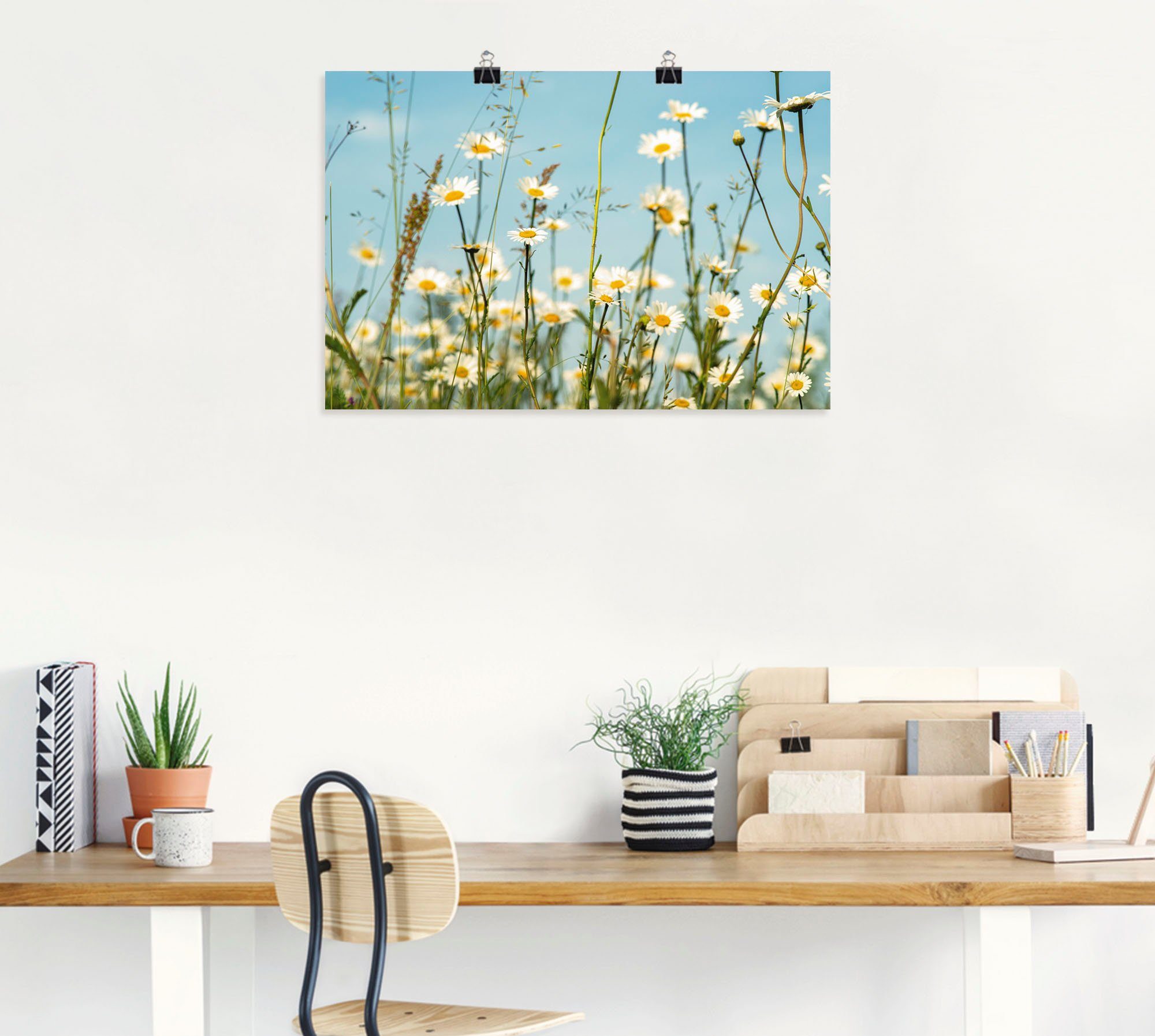 Artland Wandbild Margeriten vor Sommer (1 als St), oder Alubild, versch. Himmel, Größen Poster Wandaufkleber in Blumenbilder Leinwandbild