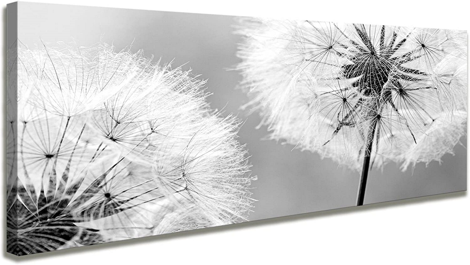 Visario Leinwandbild 1-teiliges Bild auf Leinwand günstig online kaufen