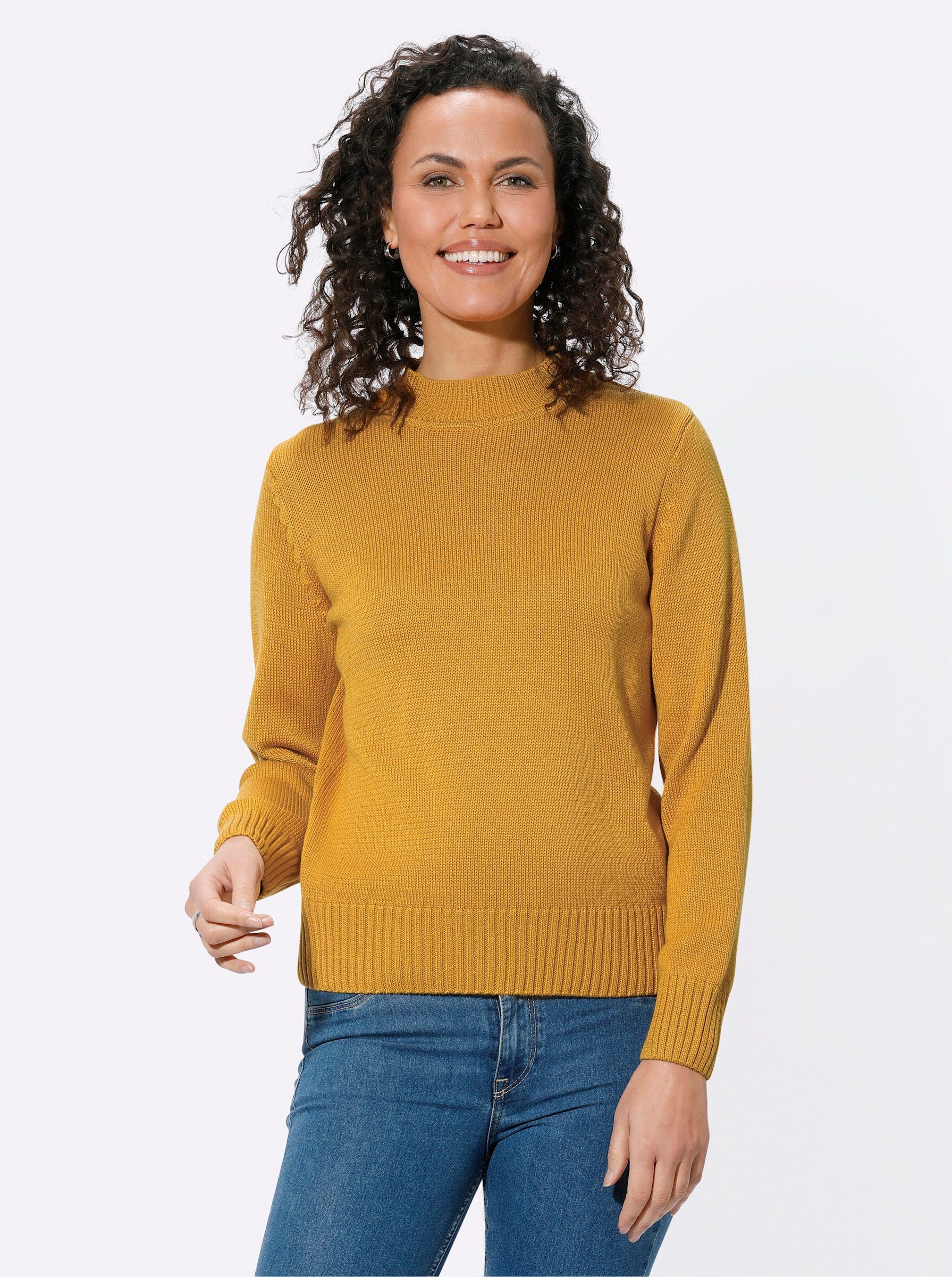 Casual Looks Rollkragenpullover "Pullover" günstig online kaufen