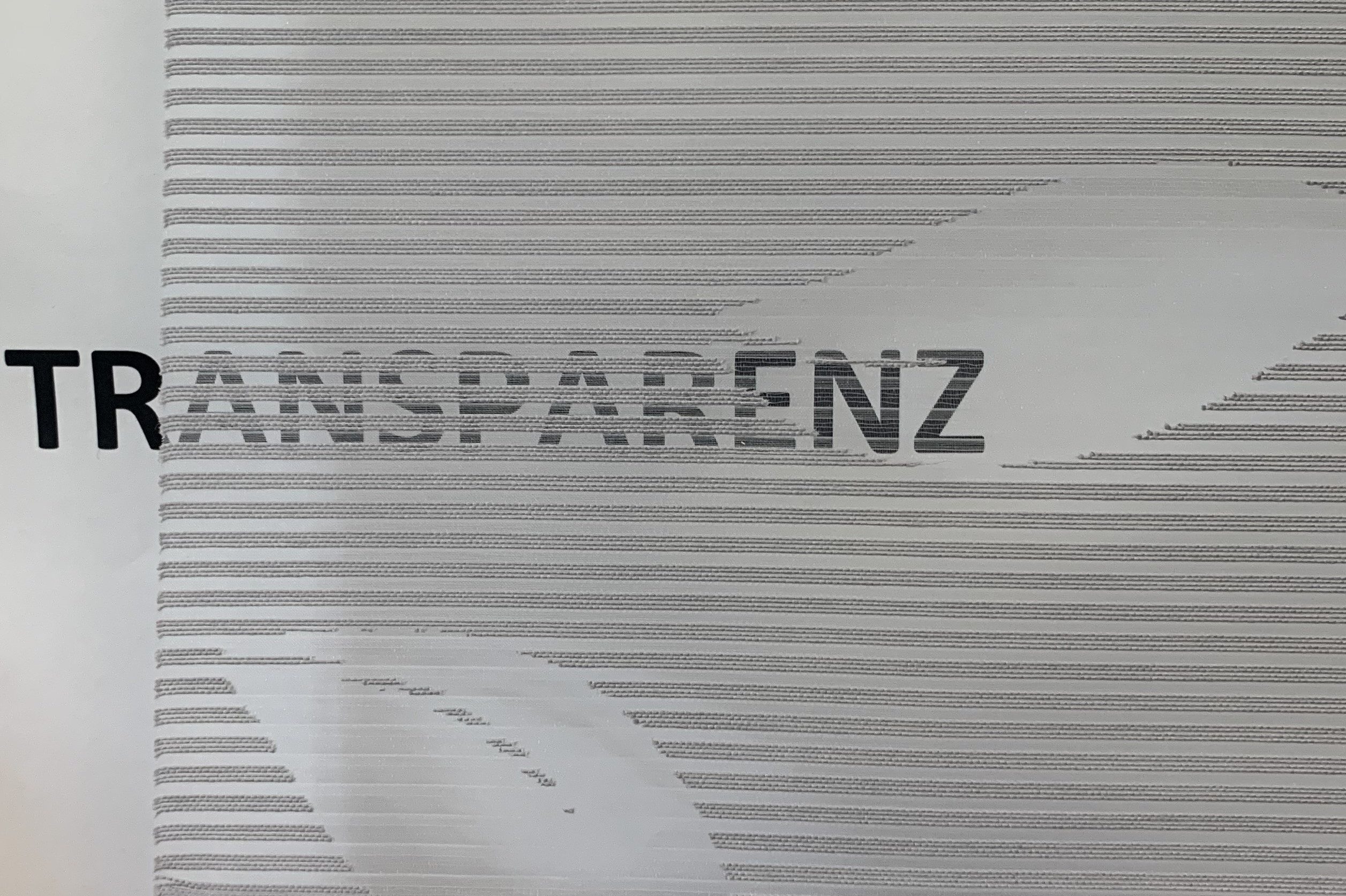 HOME WOHNIDEEN Raffrollo RANA, mit Ösen, ohne Bohren, freihängend, Magnetrollo RANA mit Ausbrenner-Motiv