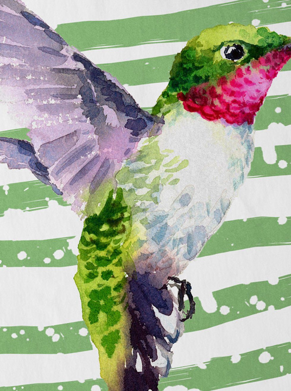 style3 T-Shirt Kolibri regenwald dschungel sommer günstig online kaufen