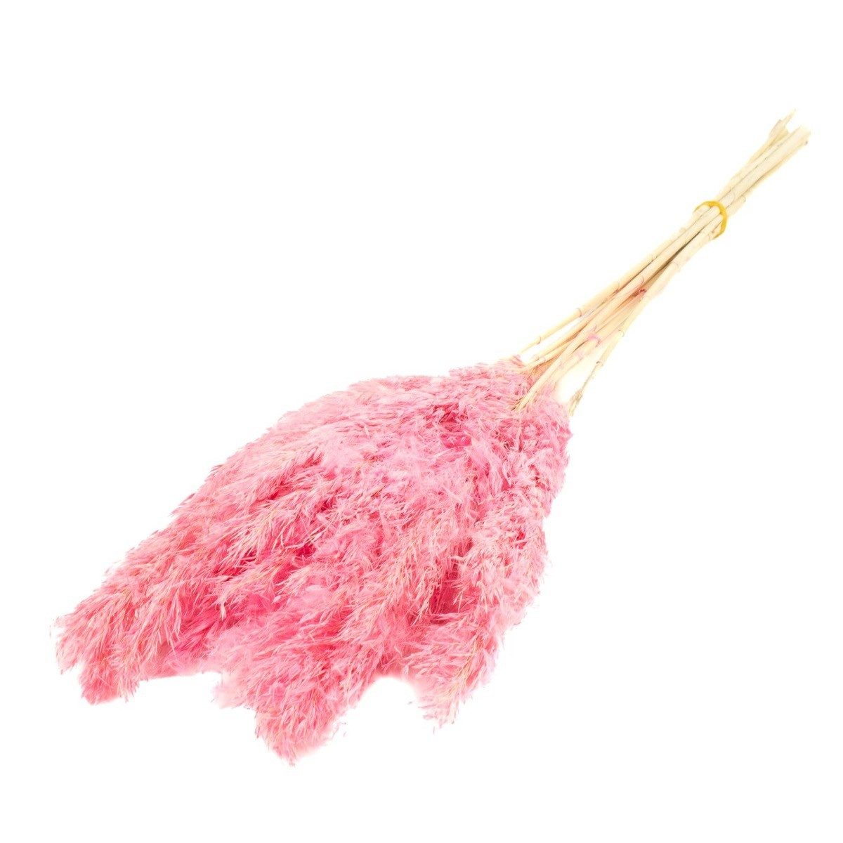 Trockenblume Schilf getrocknet DONJETA, rosa, 70-80cm, Ø15cm, INNA-Glas, Höhe 80.0 cm