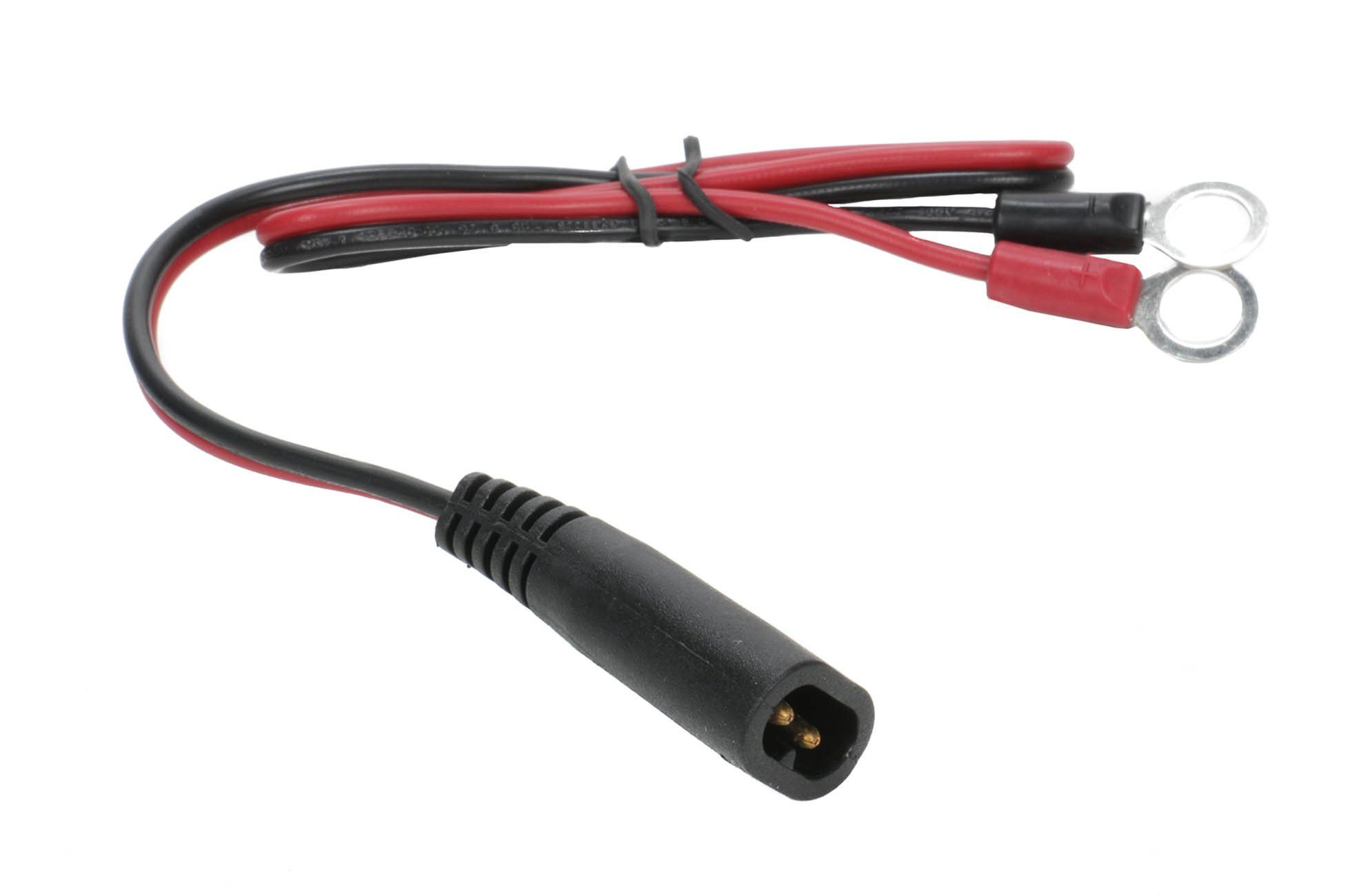 All Ride mit LED-Anzeige Batterie-Ladegerät (1000 mA, 12V DC, 1A oder 6V DC, 1A, Geschützt gegen Funkenflug, Überhitzung, Kurzschluß, Verpolung, Auto Batterie Ladegerät)