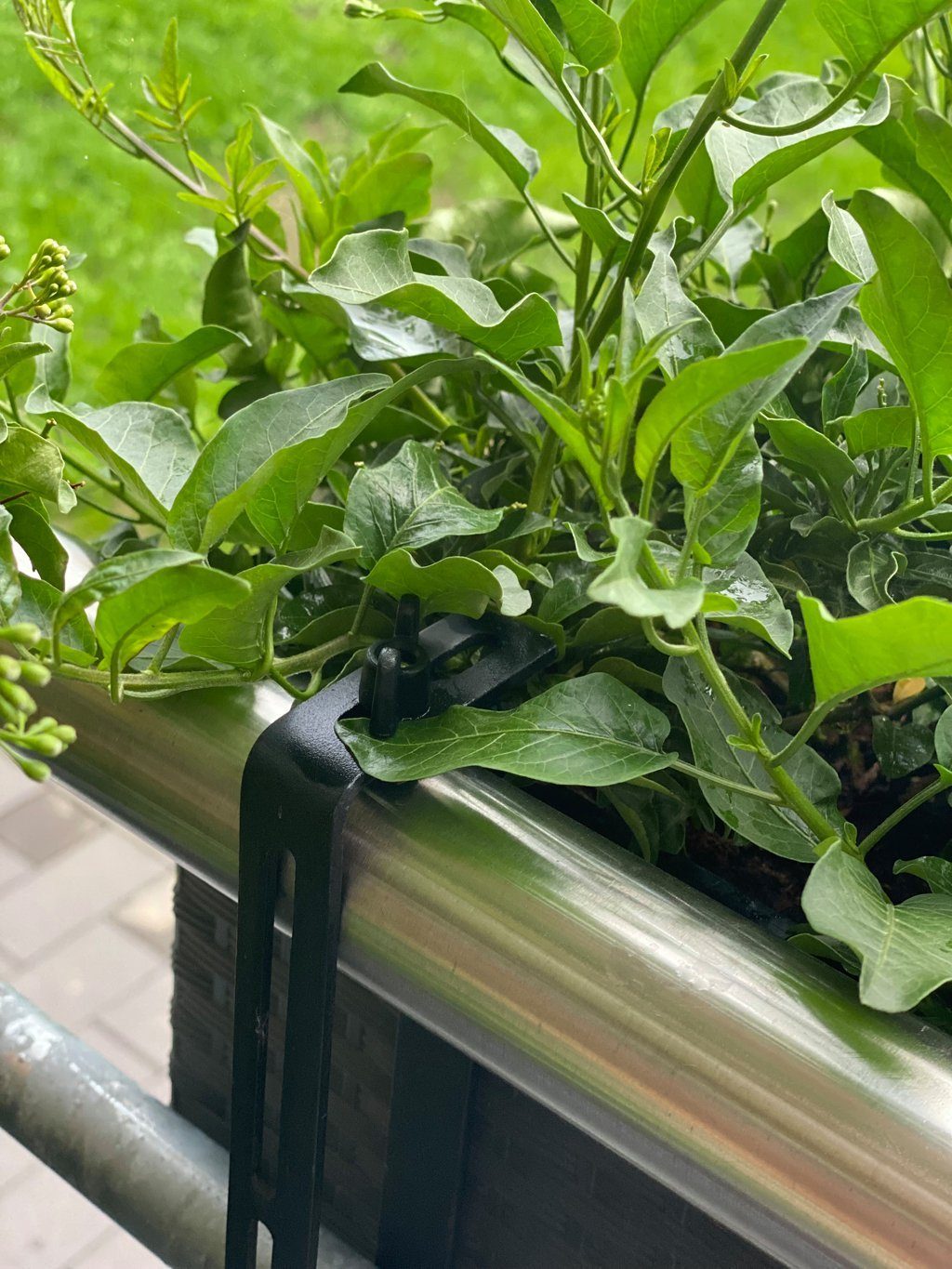 Kreher Balkonkasten 'BEGONIA' in Rattan Optik mit Stahlbügeln in Anthrazit (1 St)