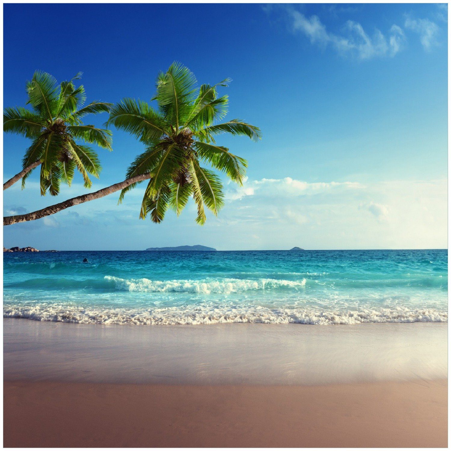 Wallario Memoboard Sandstrand auf den Seychellen - Urlaub unter Palmen