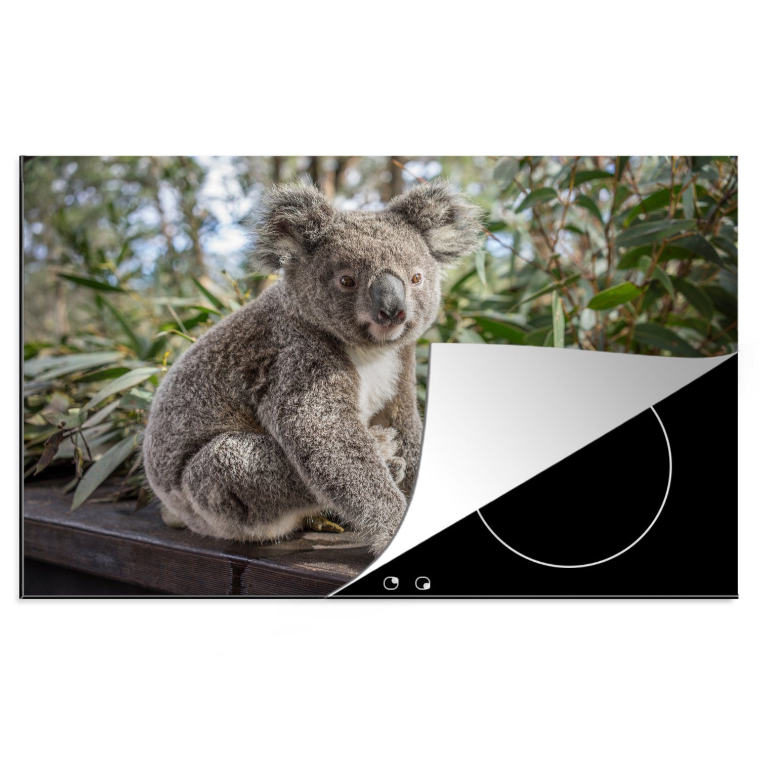 MuchoWow Herdblende-/Abdeckplatte Koala - Holz - Pflanzen - Kinder - Jungen - Mädchen, Vinyl, (1 tlg), 81x52 cm, Induktionskochfeld Schutz für die küche, Ceranfeldabdeckung