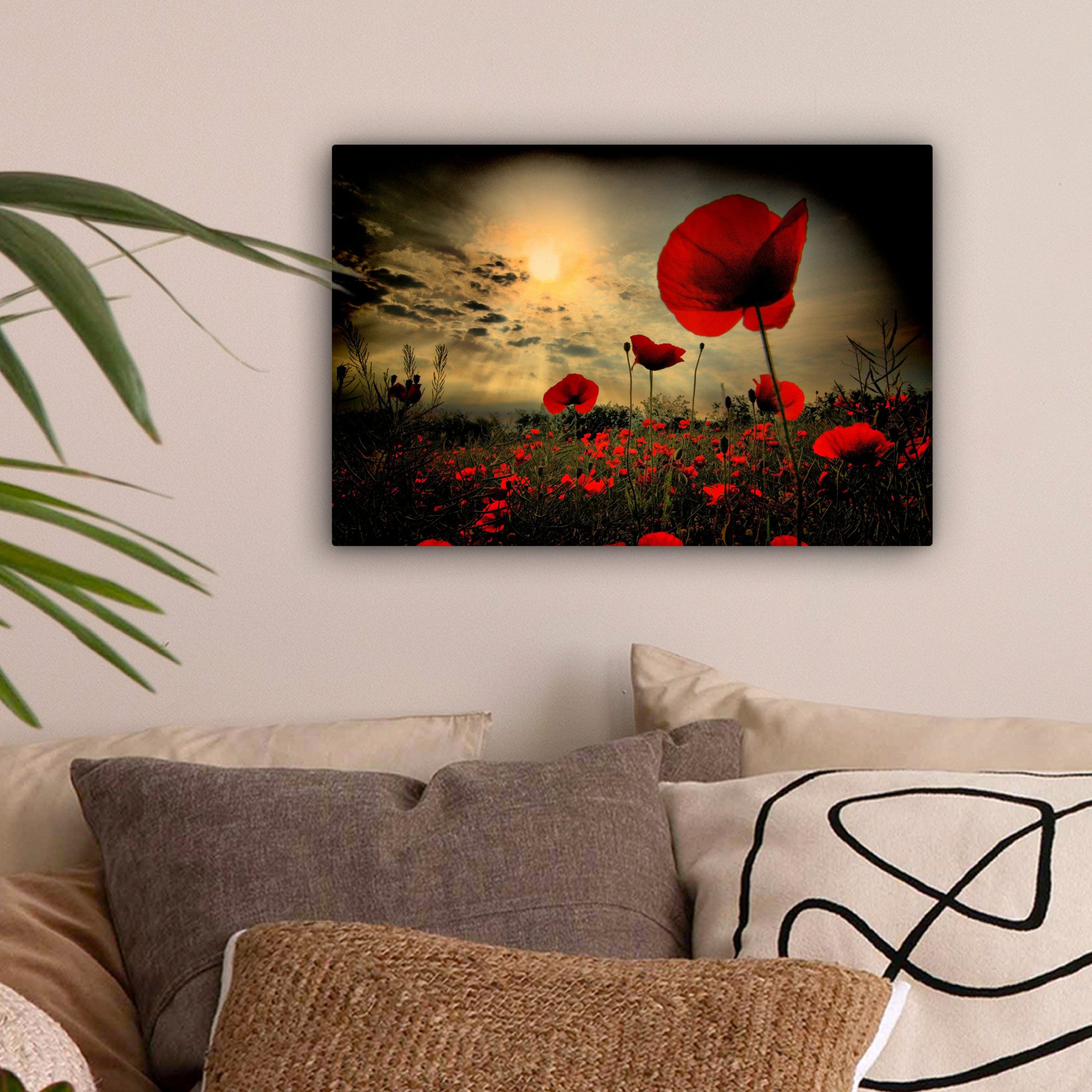 OneMillionCanvasses® Leinwandbild Mohnblumen am Abend, Fotodruck günstig online kaufen
