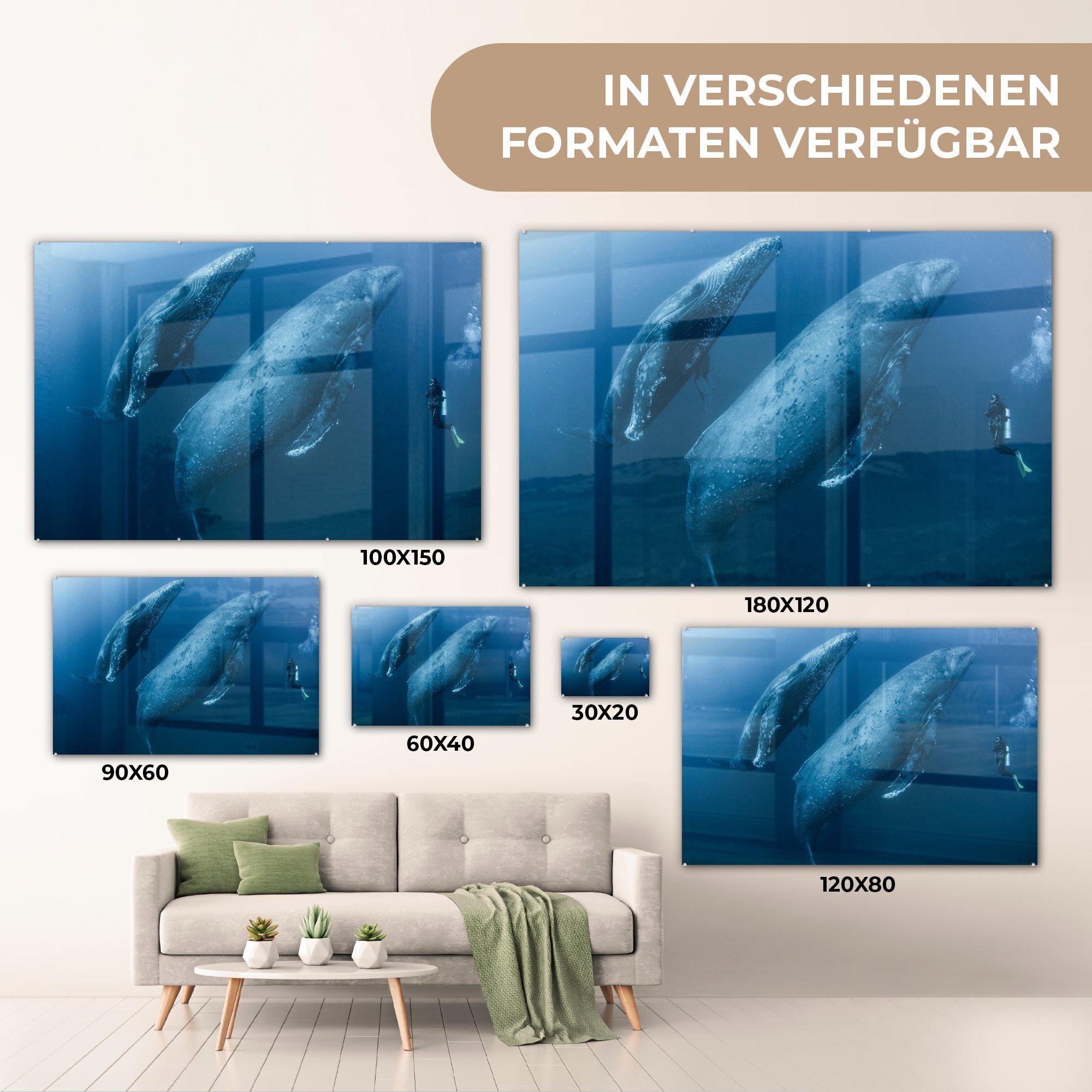 MuchoWow Acrylglasbild St), Taucher Meer, Acrylglasbilder Wal - & (1 - Schlafzimmer Wohnzimmer