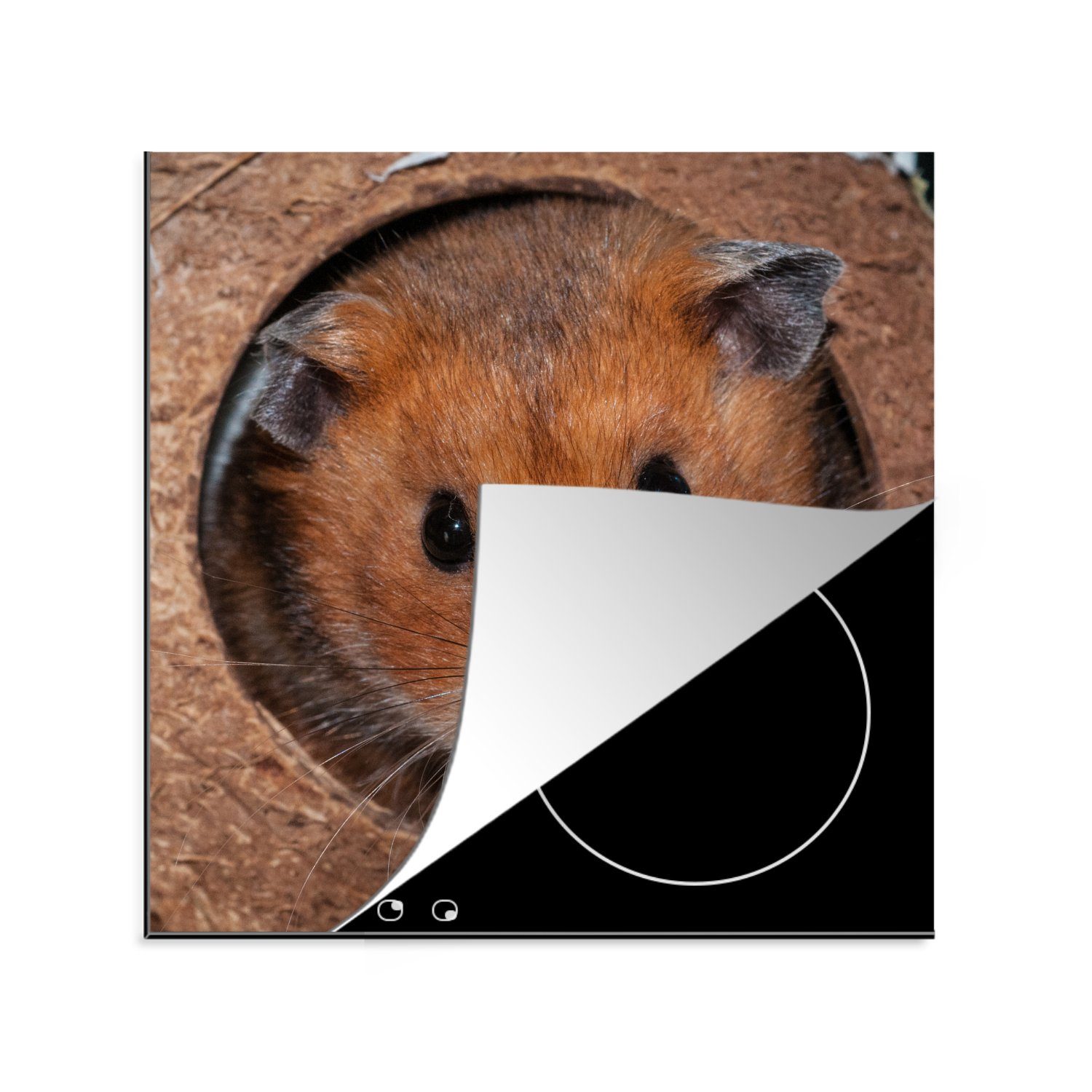 MuchoWow Herdblende-/Abdeckplatte Hamster kommt zum Zuschauen, Vinyl, (1 tlg), 78x78 cm, Ceranfeldabdeckung, Arbeitsplatte für küche
