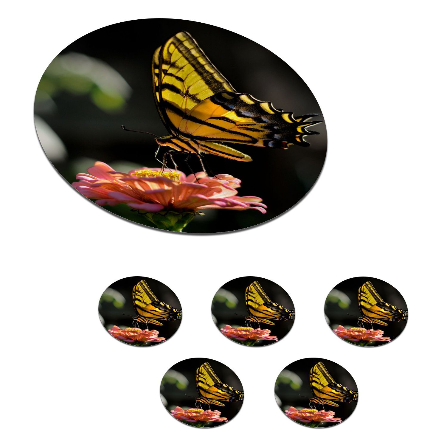 Schmetterling Becher MuchoWow Blume, Tasse, Glasuntersetzer 6-tlg., - Tassenuntersetzer, Botanisch Zubehör Korkuntersetzer, - Getränkeuntersetzer, Gläser, für