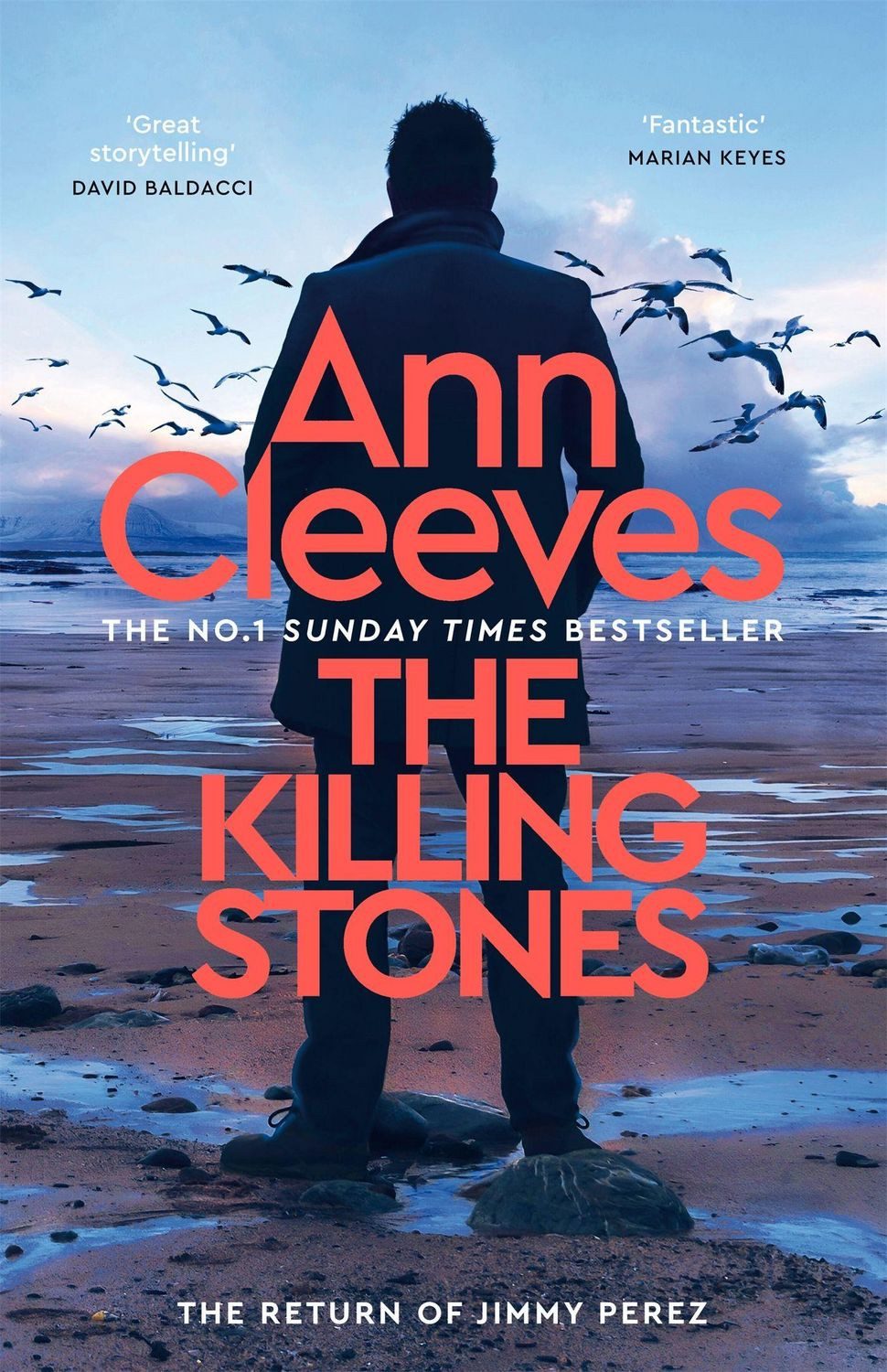 The Killing Stones / Ann Cleeves