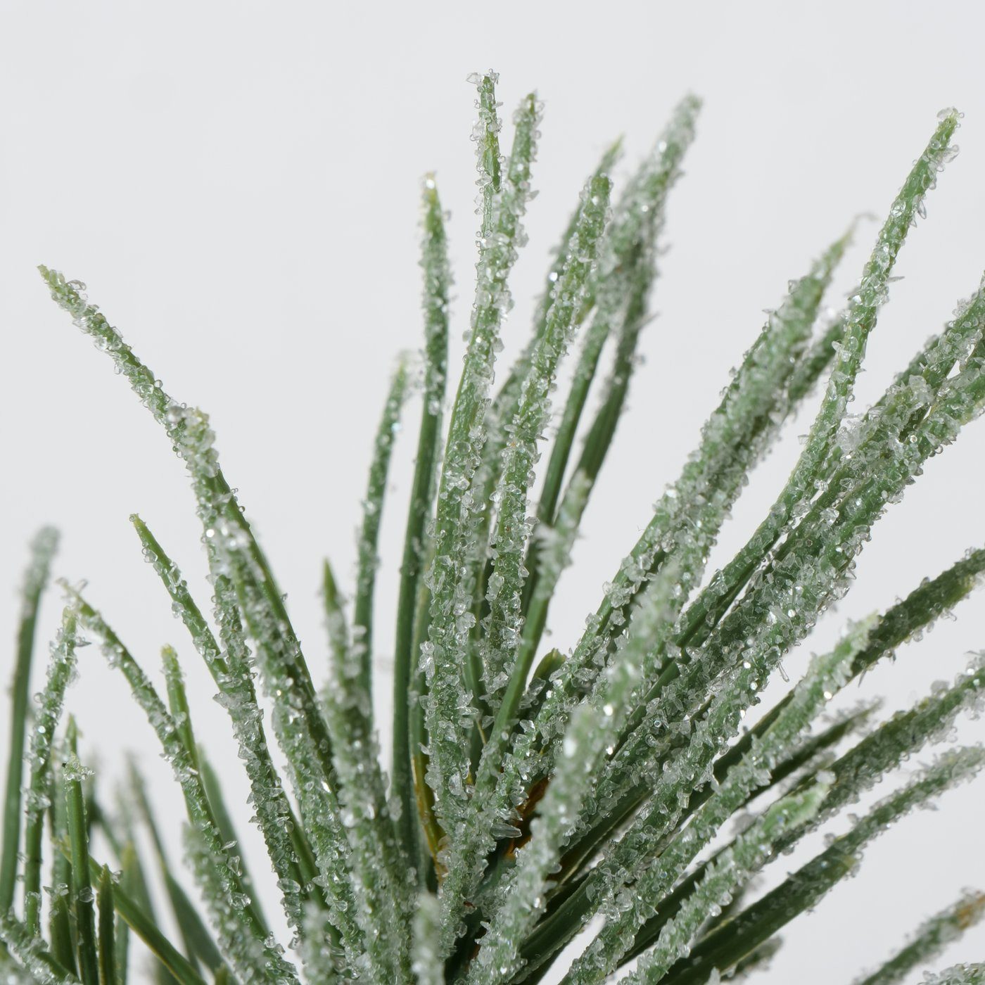 Kunstzweig Dekozweig Kiefer, Indoor, Plastik, Dunkelgrün, günstig online kaufen