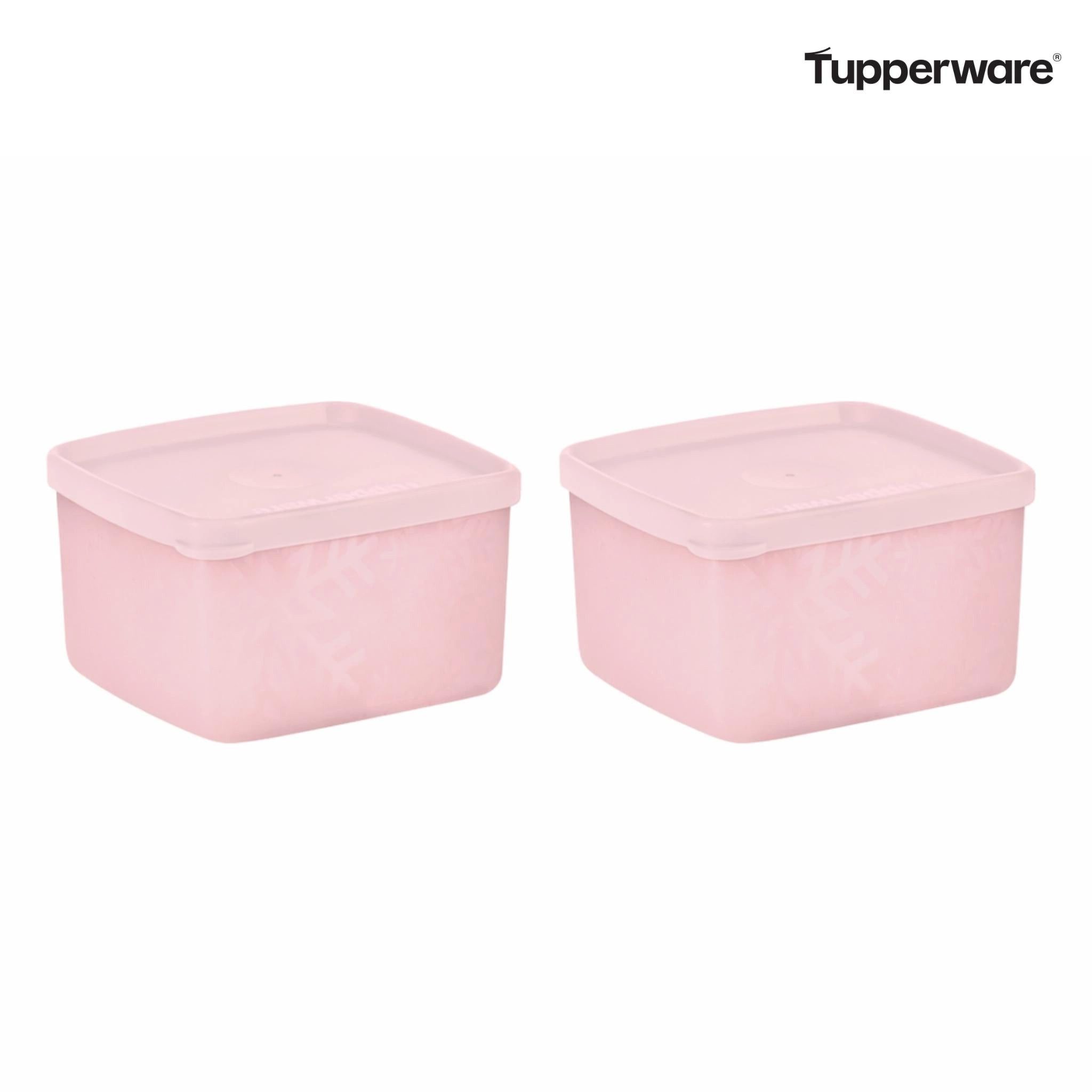 TUPPERWARE Vorratsdose Kleine rechteckige Gefrier-Behälter 400 ml (2)