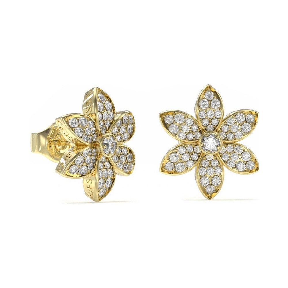 Guess Paar Ohrstecker...