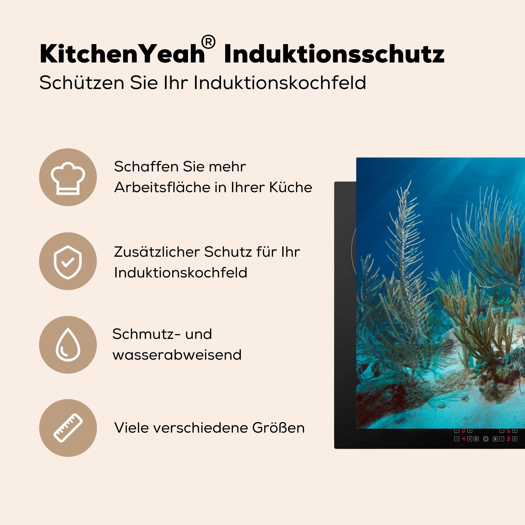 MuchoWow cm, Vinyl, tlg), Ceranfeldabdeckung küche, Induktionskochfeld Licht, Koralle die (1 bei Schutz Herdblende-/Abdeckplatte für 81x52