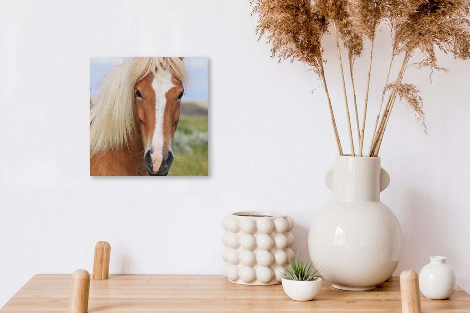 OneMillionCanvasses® Leinwandbild Porträt eines Islandpferdes, (1 Schlafzimmer Leinwand Bilder für Wohnzimmer St)
