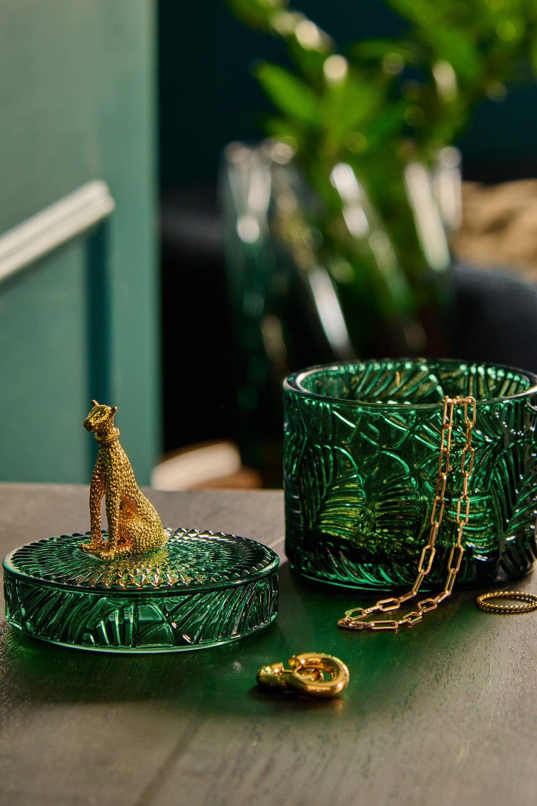 Next Dekoschale Ablagetöpfchen aus Glas mit Muster und Leopard günstig online kaufen