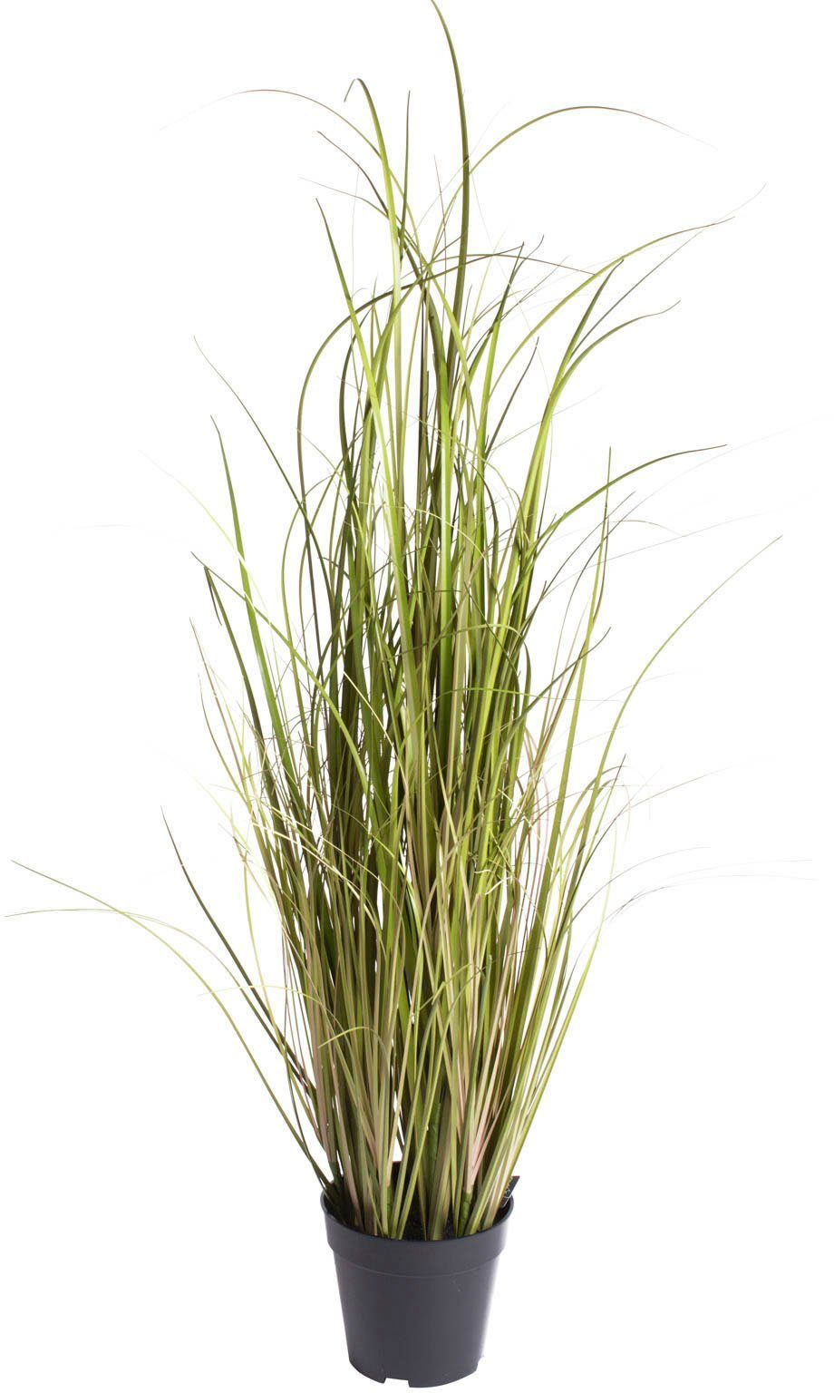 Kunstgras Grasarrangement Arusha, Botanic-Haus, Höhe 100 cm