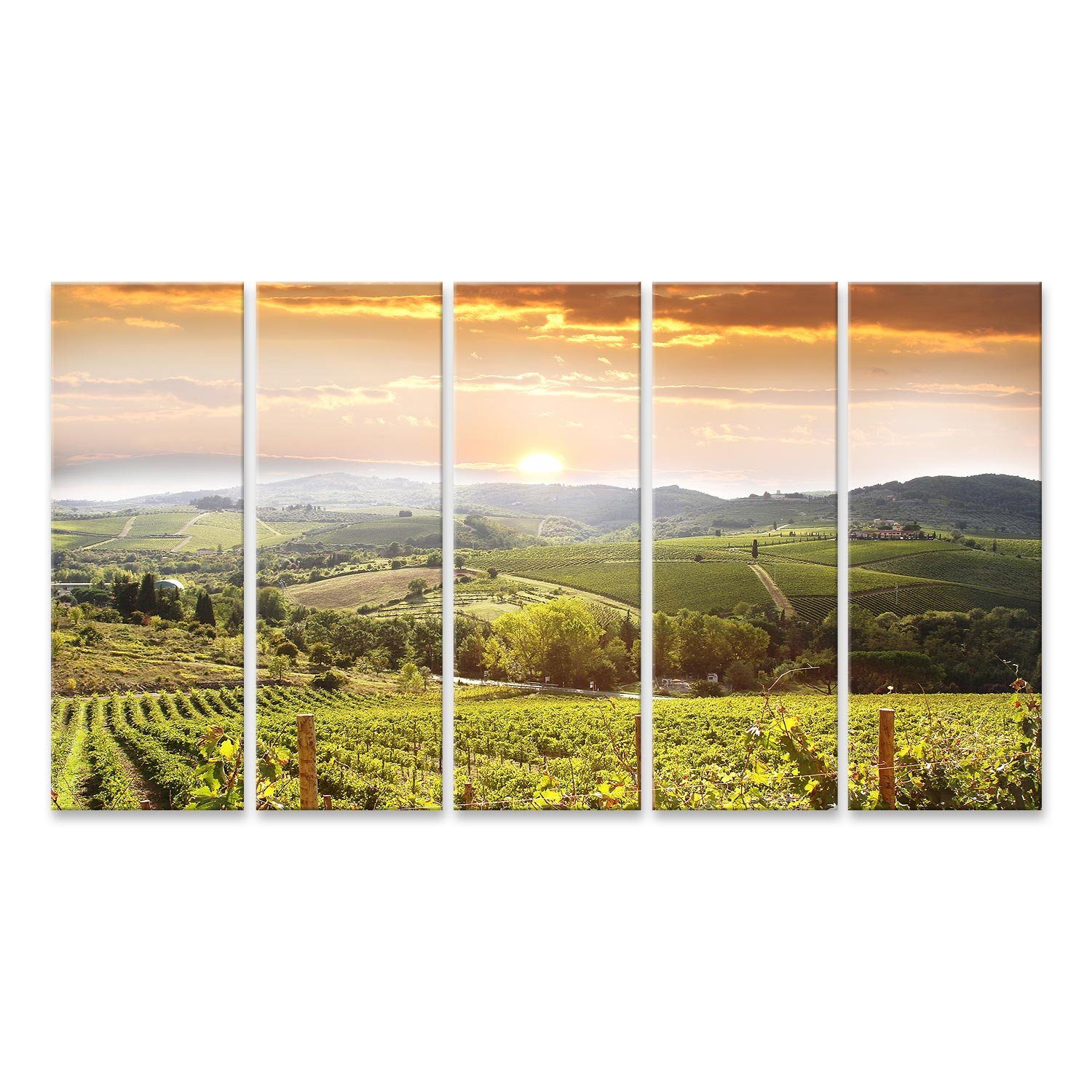 Leinwandbild Bild auf Leinwand Chianti-Weinberg-Landschaft in der Toskana Italien W