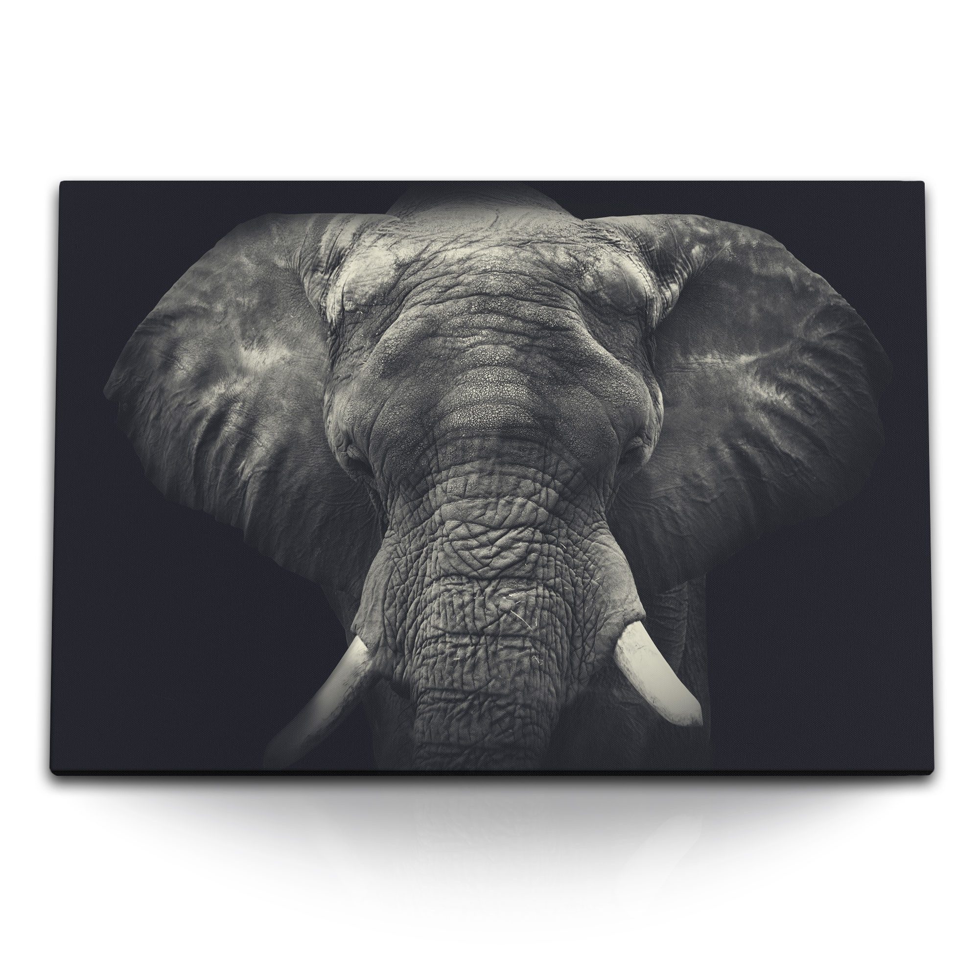 Leinwandbild 120x80cm Wandbild auf Leinwand Elefanten Porträt Tierfotografie Dunkel