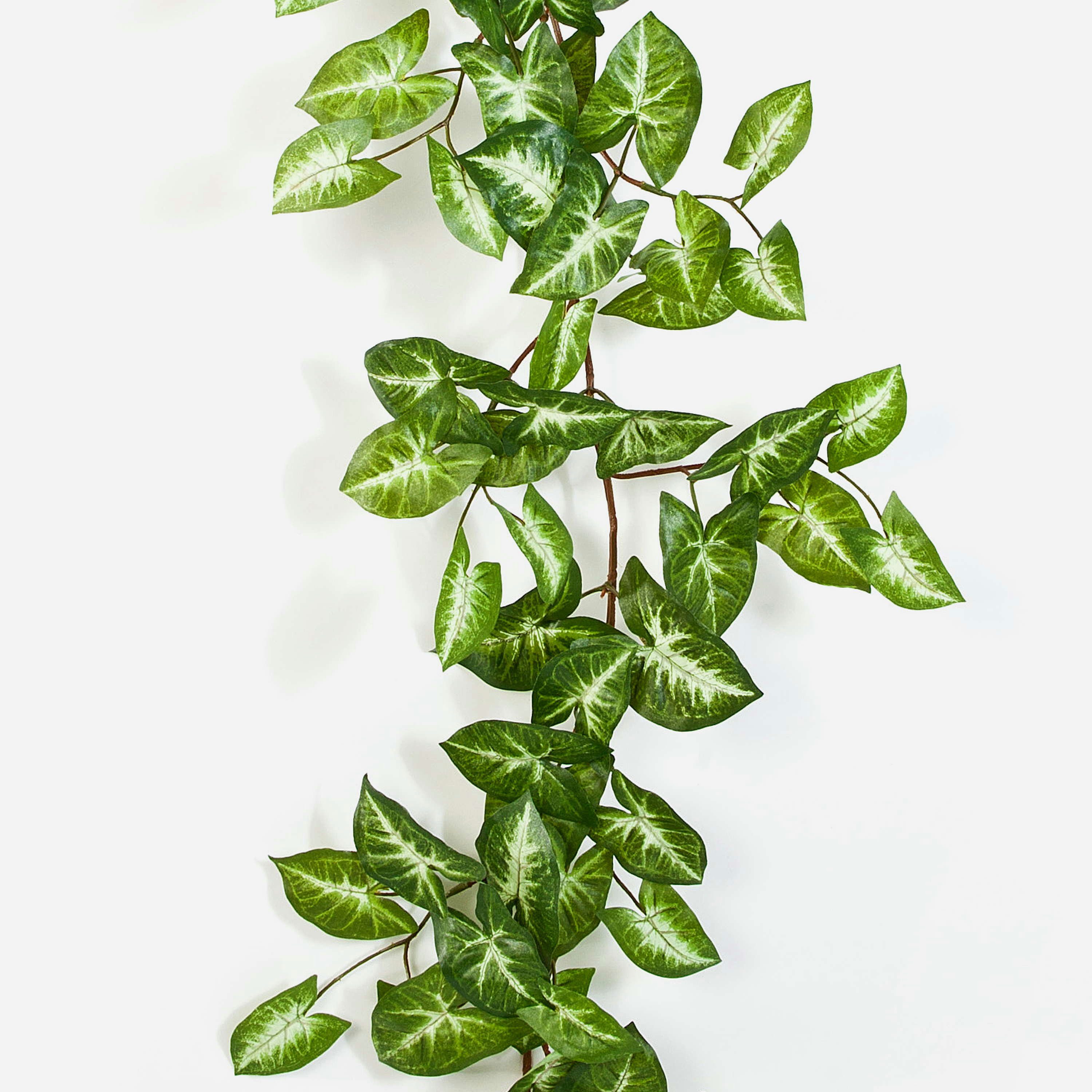 Kunstgirlande Syngonium Girlande künstlich AOLOA, grün-weiß, 180cm Syngonium, artplants, Höhe 180.0 cm