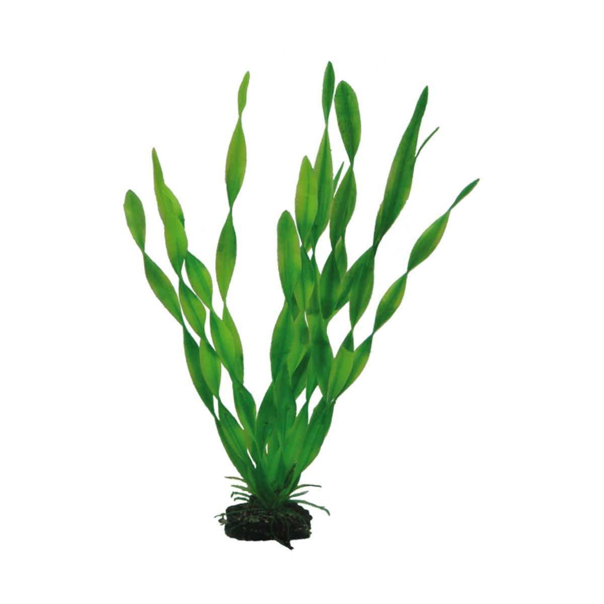 HOBBY Aquariendeko Vallisneria, 34 cm Kunststoffpflanze für Aquarien