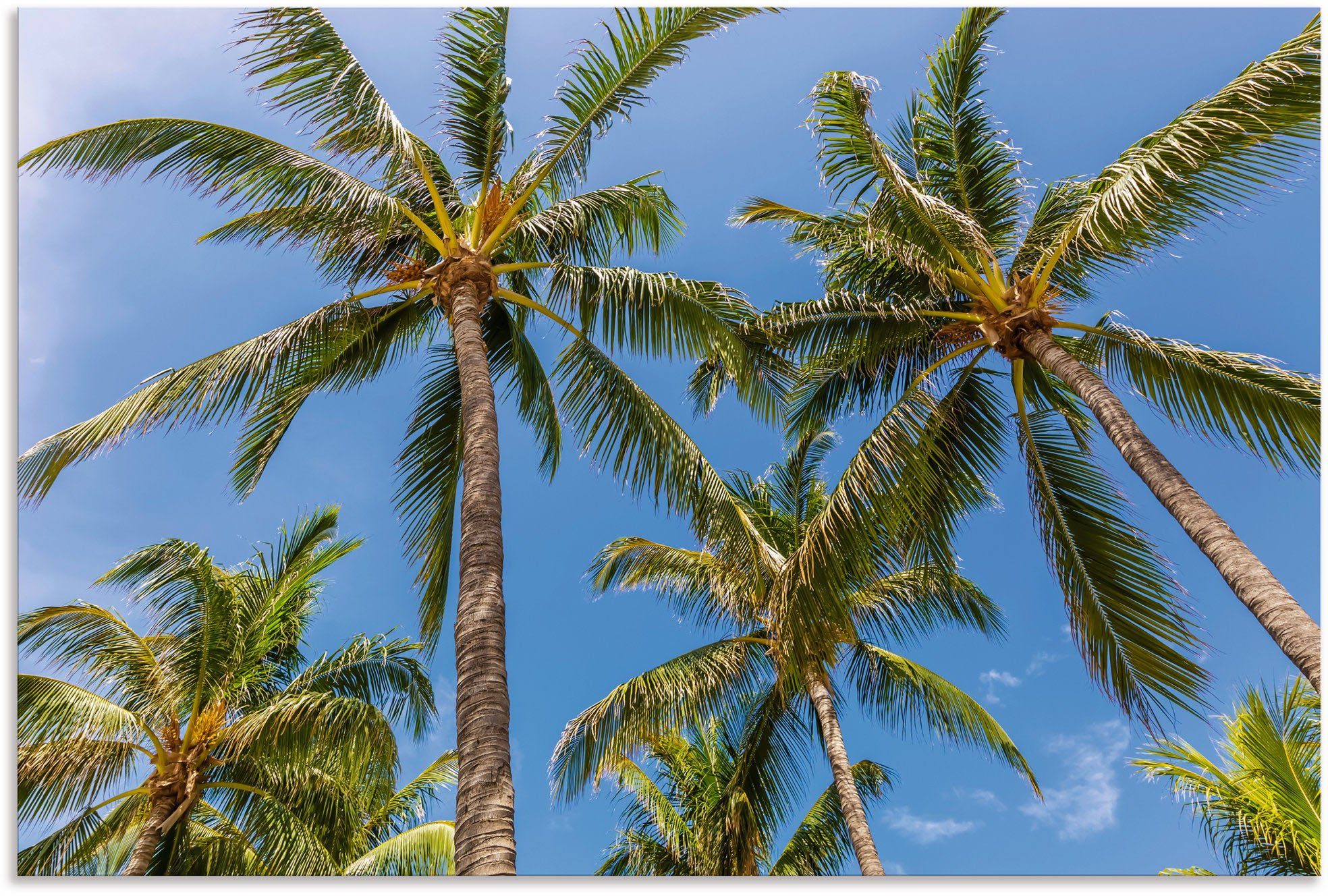 Artland Wandbild Palmen am in Strand, St), Strandbilder Alubild, als Größen Leinwandbild, Wandaufkleber (1 oder versch. Poster