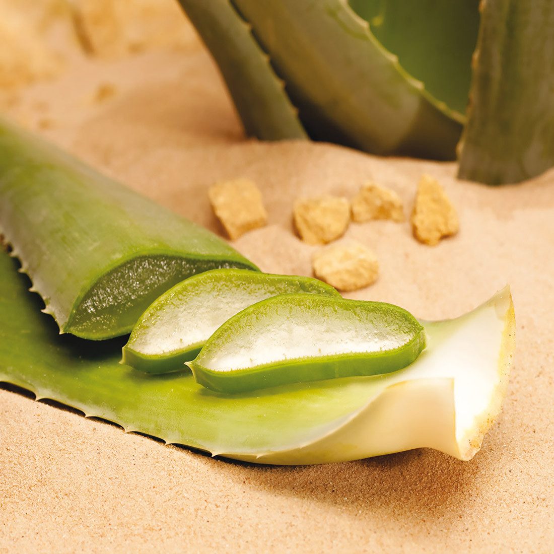 Deutsches Aloe Vera Zentrum GmbH Körpergel Aloe Vera Hautgel 98 %
