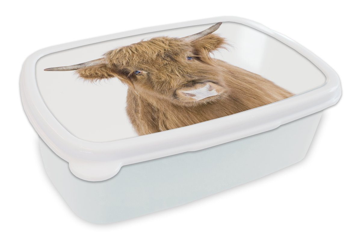 MuchoWow Lunchbox Schottischer Hochländer - Tiere - Braun - Natur, Kunststoff, (2-tlg), Brotbox für Kinder und Erwachsene, Brotdose, für Jungs und Mädchen weiß
