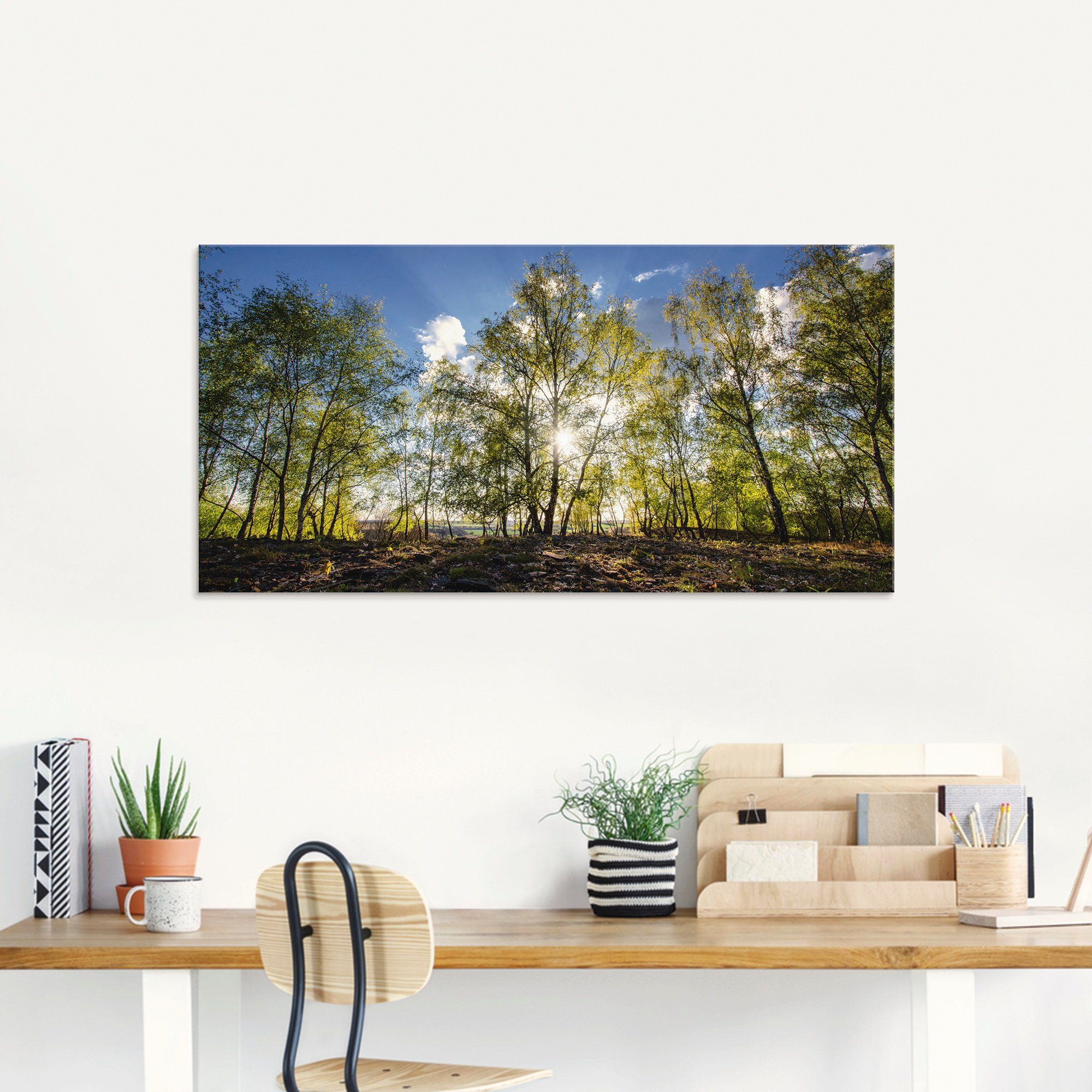 Artland Glasbild »Frühlingssonne«, Wald (1 Stück)-kaufen