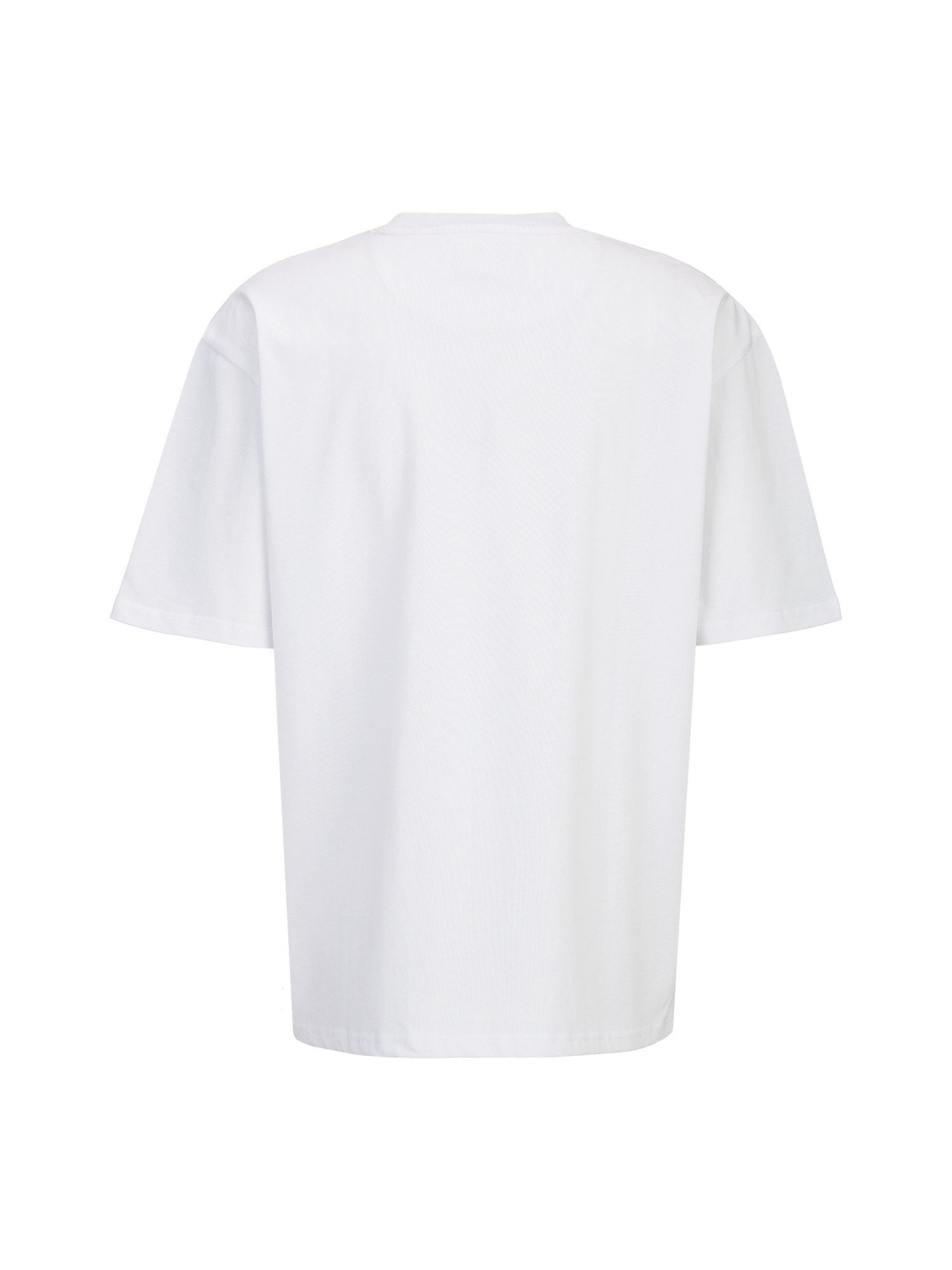 19V69 ITALIA T-Shirt TAMARO STREETART