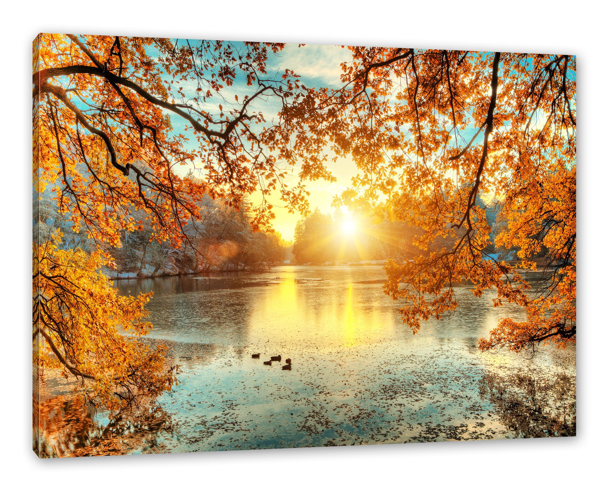 Pixxprint Leinwandbild Herbstbäume um See bei Sonnenuntergang, Herbstbäume günstig online kaufen