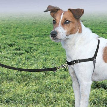 PetSafe Hunde-Halsband Hundegeschirr Easy Walk S Schwarz, Nylon