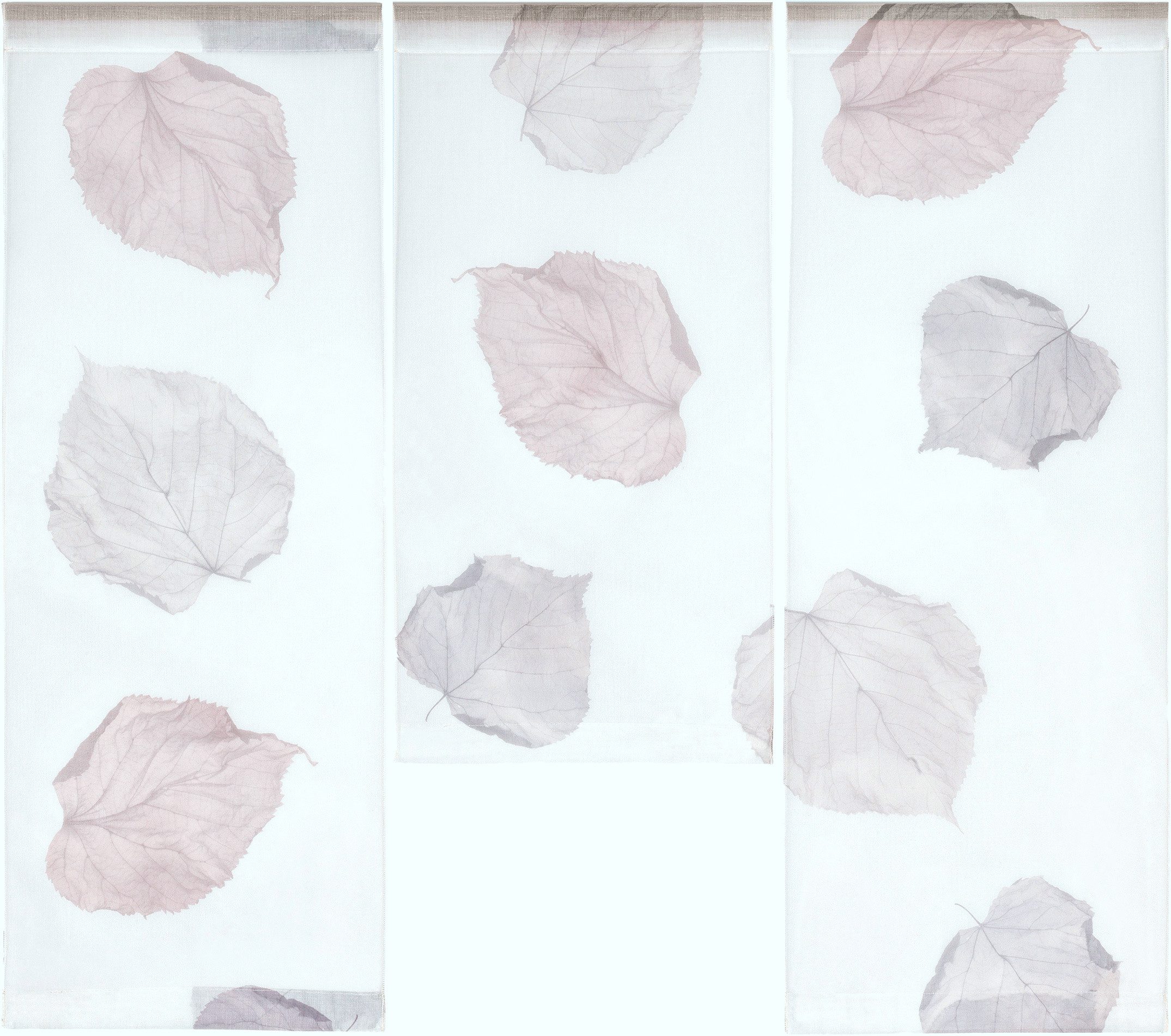 Clever-Kauf-24 Scheibengardine 3-teiliges Mini-Flächenvorhang-Set mit Blätt günstig online kaufen