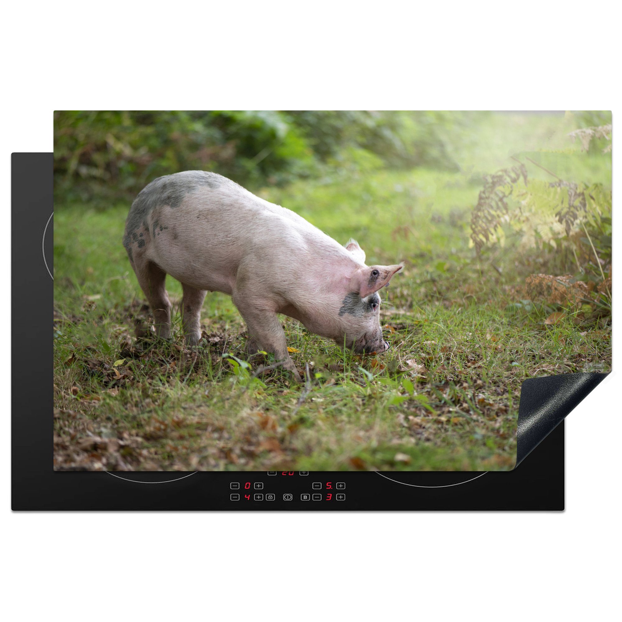 81x52 Gras, Schwein Induktionskochfeld Herdblende-/Abdeckplatte (1 die Wald cm, Vinyl, - Schutz für tlg), - küche, Ceranfeldabdeckung MuchoWow