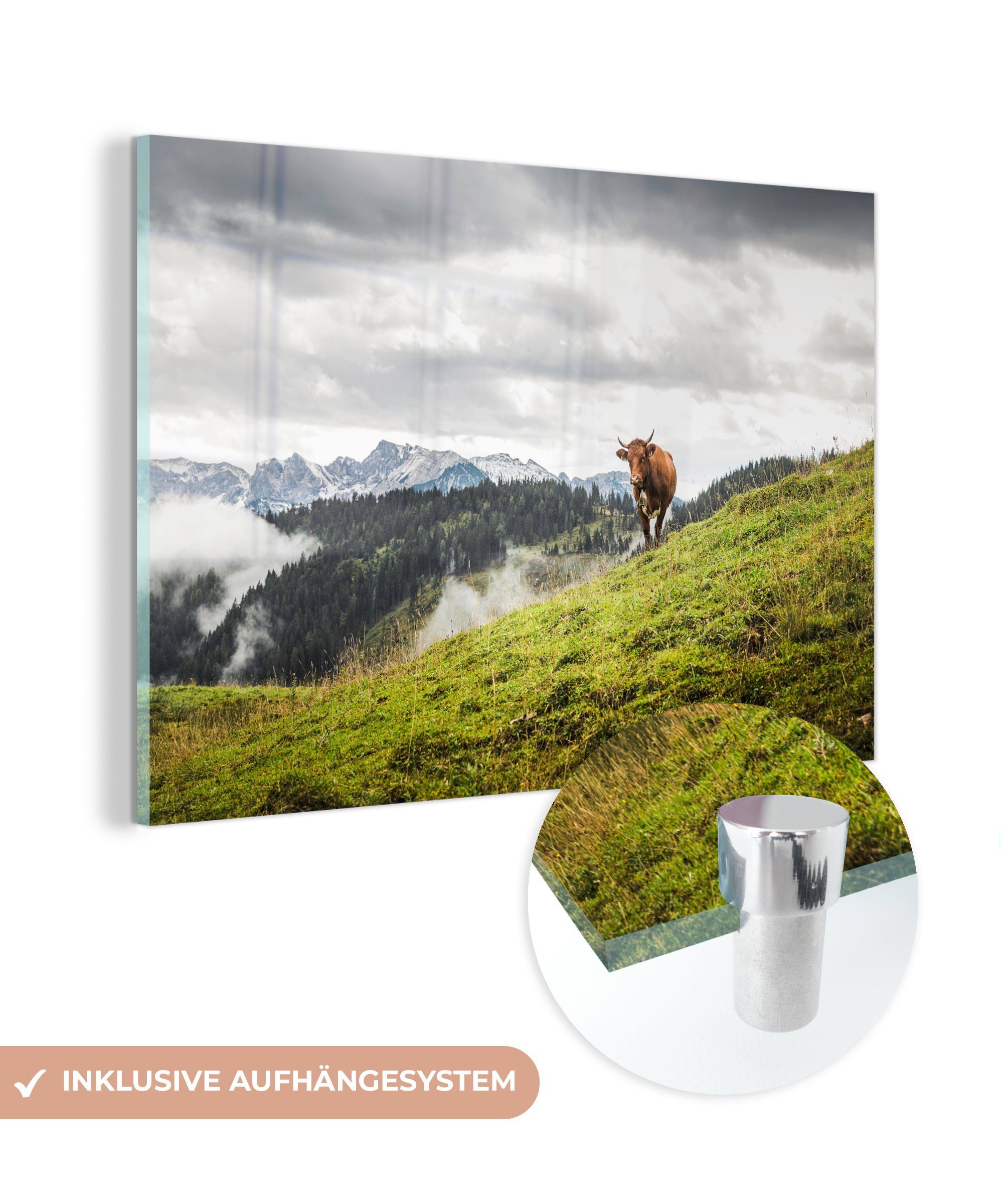 Schlafzimmer - Herbst, Tier Kuh Acrylglasbild Acrylglasbilder - & MuchoWow St), Wohnzimmer (1