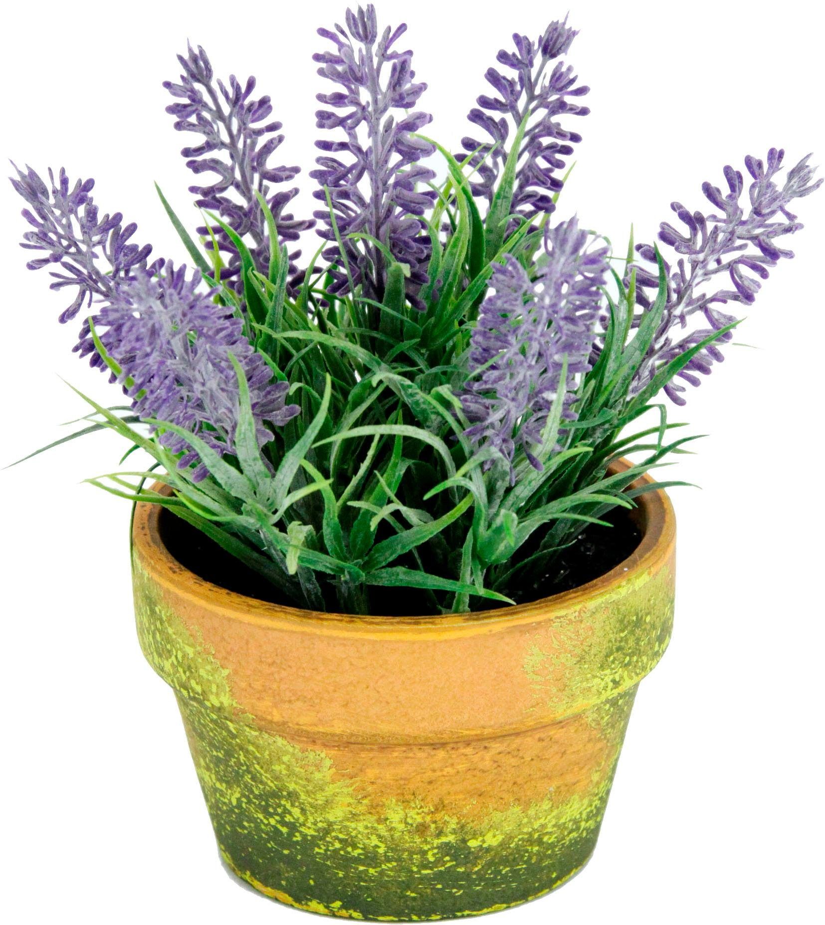 Kunstblume Lavendel, I.GE.A., Höhe Topf im 18 cm