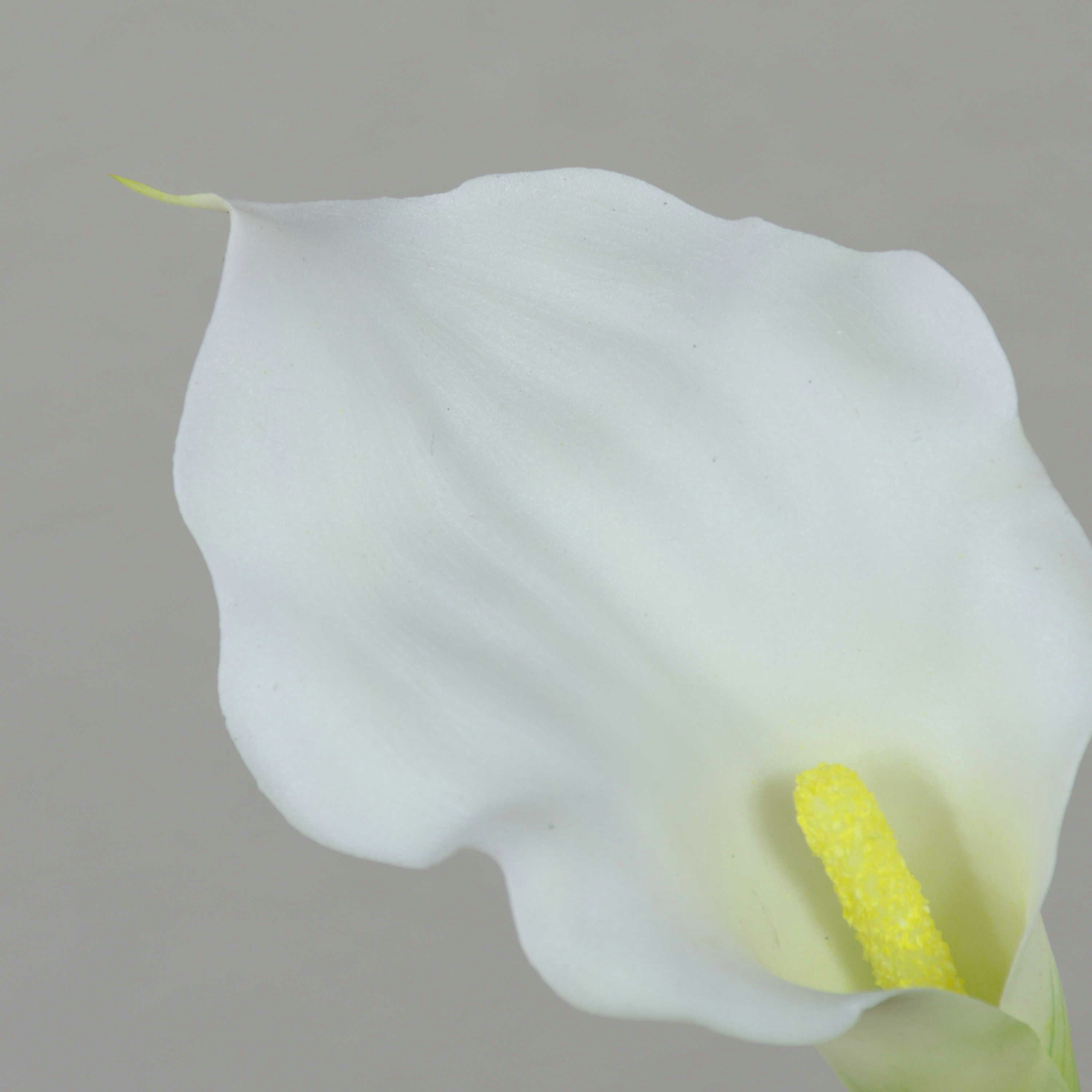 Kunstblume Künstliche Calla, weiß, natürlich anfühlend, 58cm, 7x11cm Calla, artplants, Höhe 55.0 cm