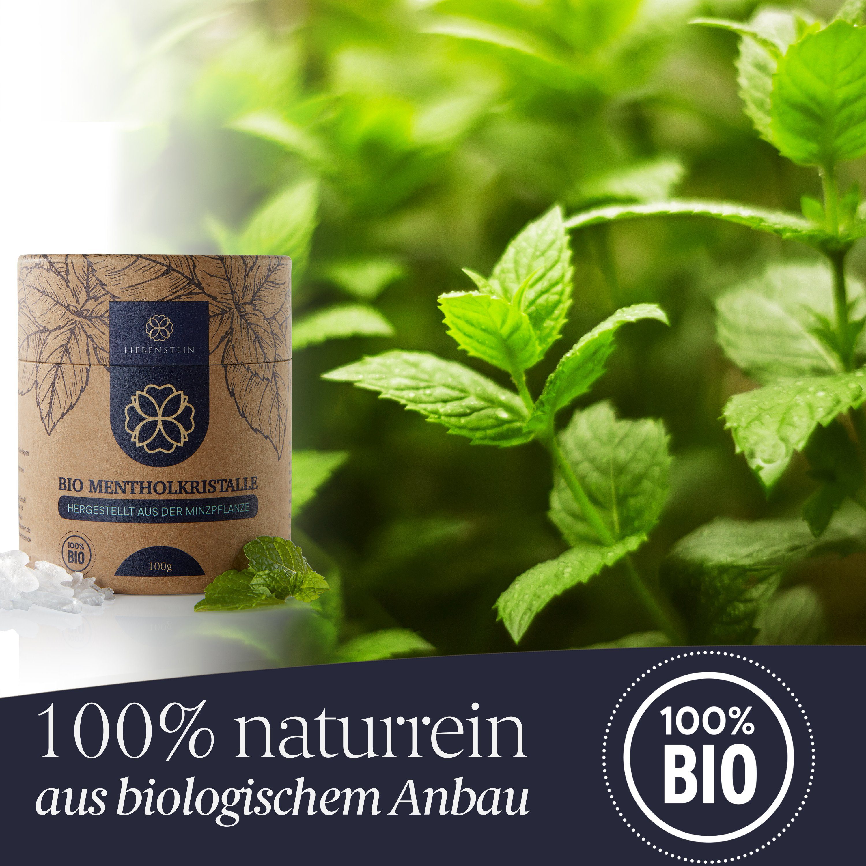 Liebenstein Sauna-Aufgussset BIO Mentholkristalle (1-tlg) [100g] günstig online kaufen