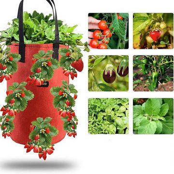 SOTOR Pflanzen Tasche, 2 Stück Erdbeere Pflanzsack, Pflanzbeutel mit Griffe Pflanzschnur (2-tlg., für Erdbeeren, Kräuter, Blumen (3Gallon, 20x30CM), Garten Gemüse Zuchtbeutel Grow Tasche, Hängend Erdbeeren Pflanztaschen