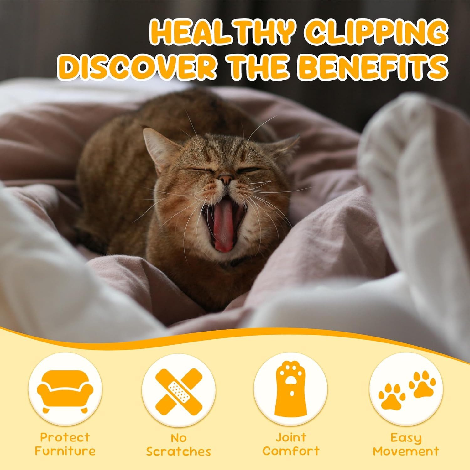 FELIXLEO Katzen-Futterautomat Krallenschere Katzen Schere für Anfänger Sicherer Nagelschneider