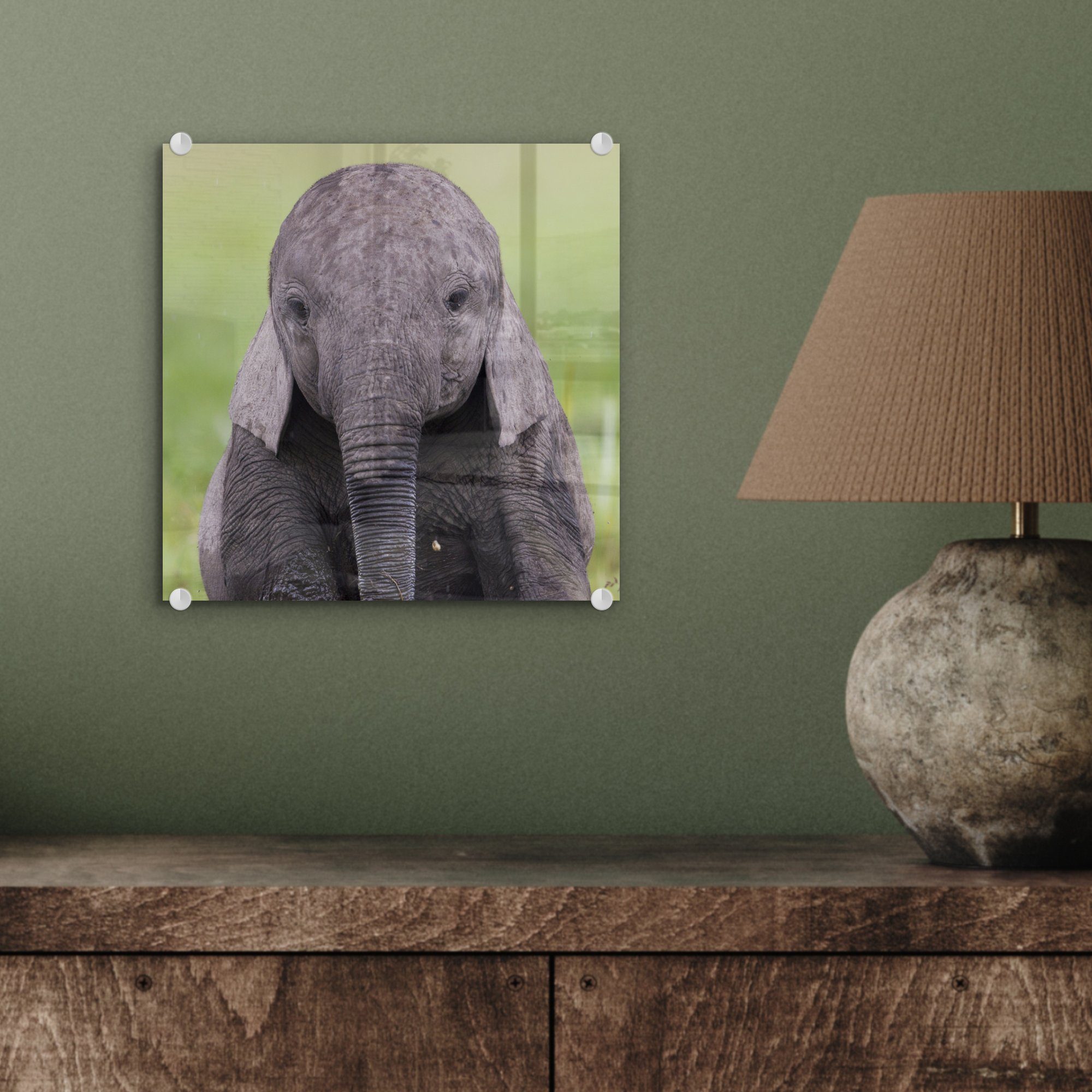 - - Acrylglasbild Tiere Elefant - Foto MuchoWow - - auf (1 Baby St), auf Wanddekoration - Glas Glasbilder - Glas Natur, Wandbild Gras Bilder